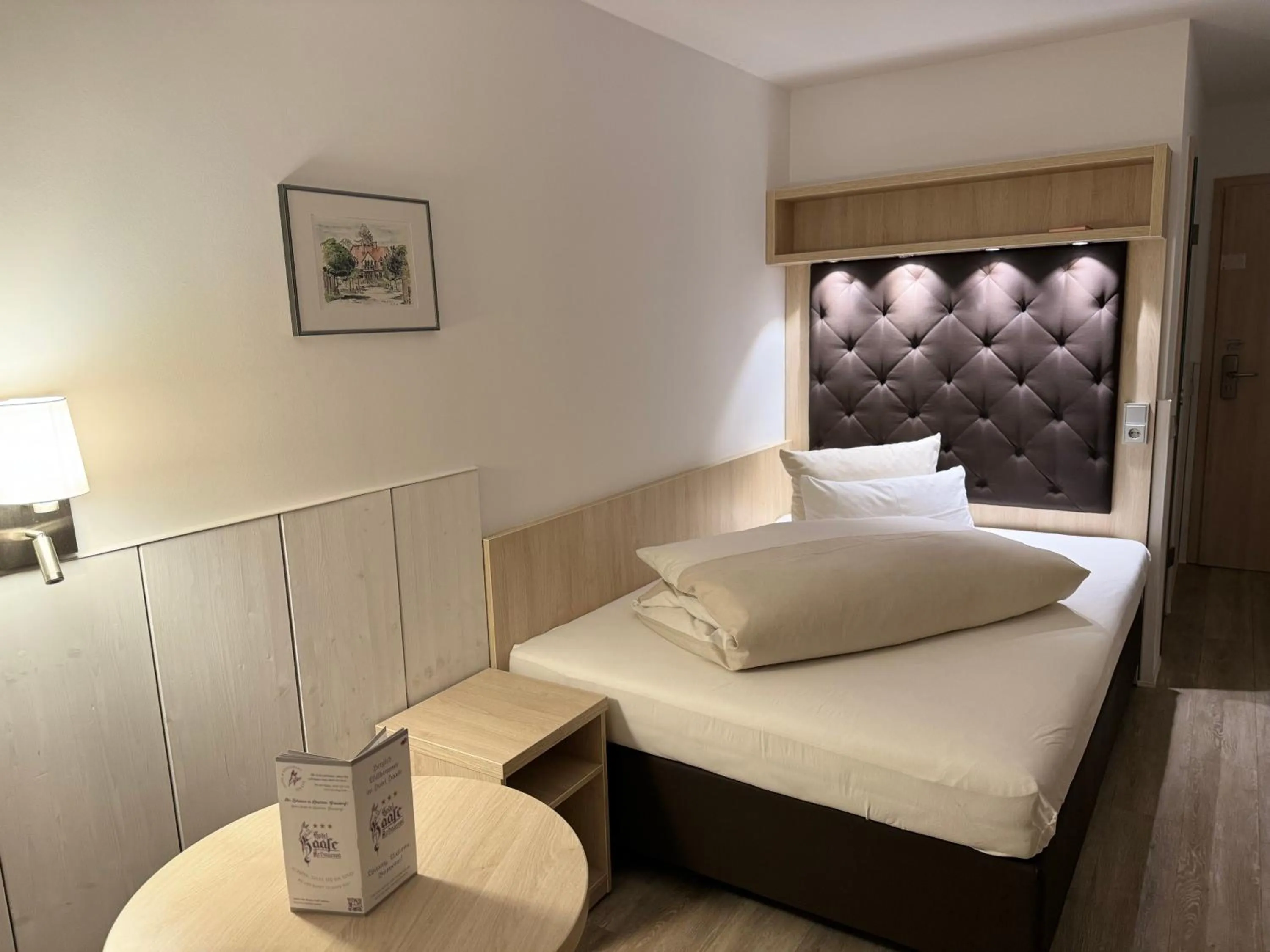 Single Room in Hotel Haase