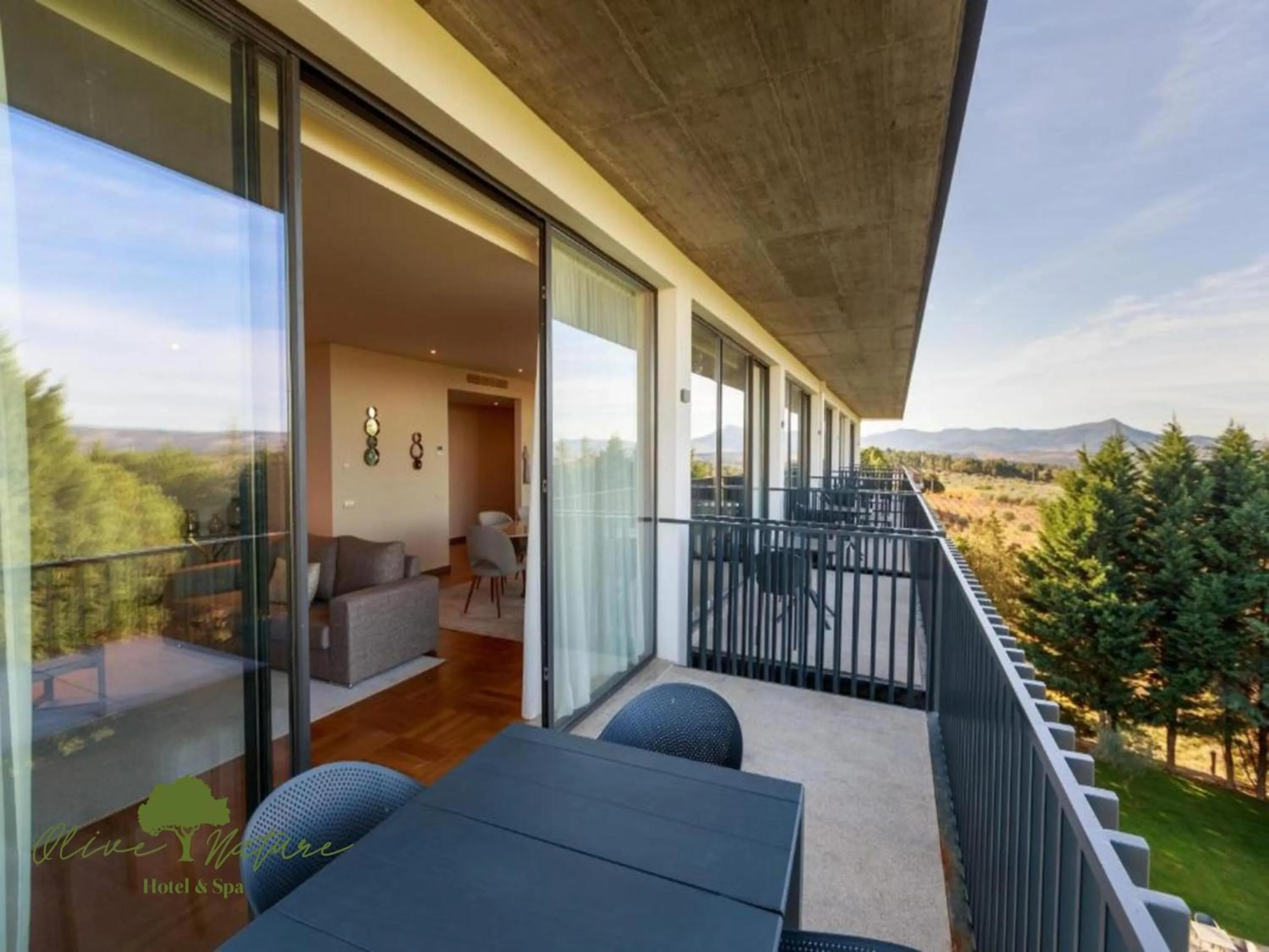 Apartment with Pool View  in Olive Nature Hotel & SPA - Quinta Valle de Passos