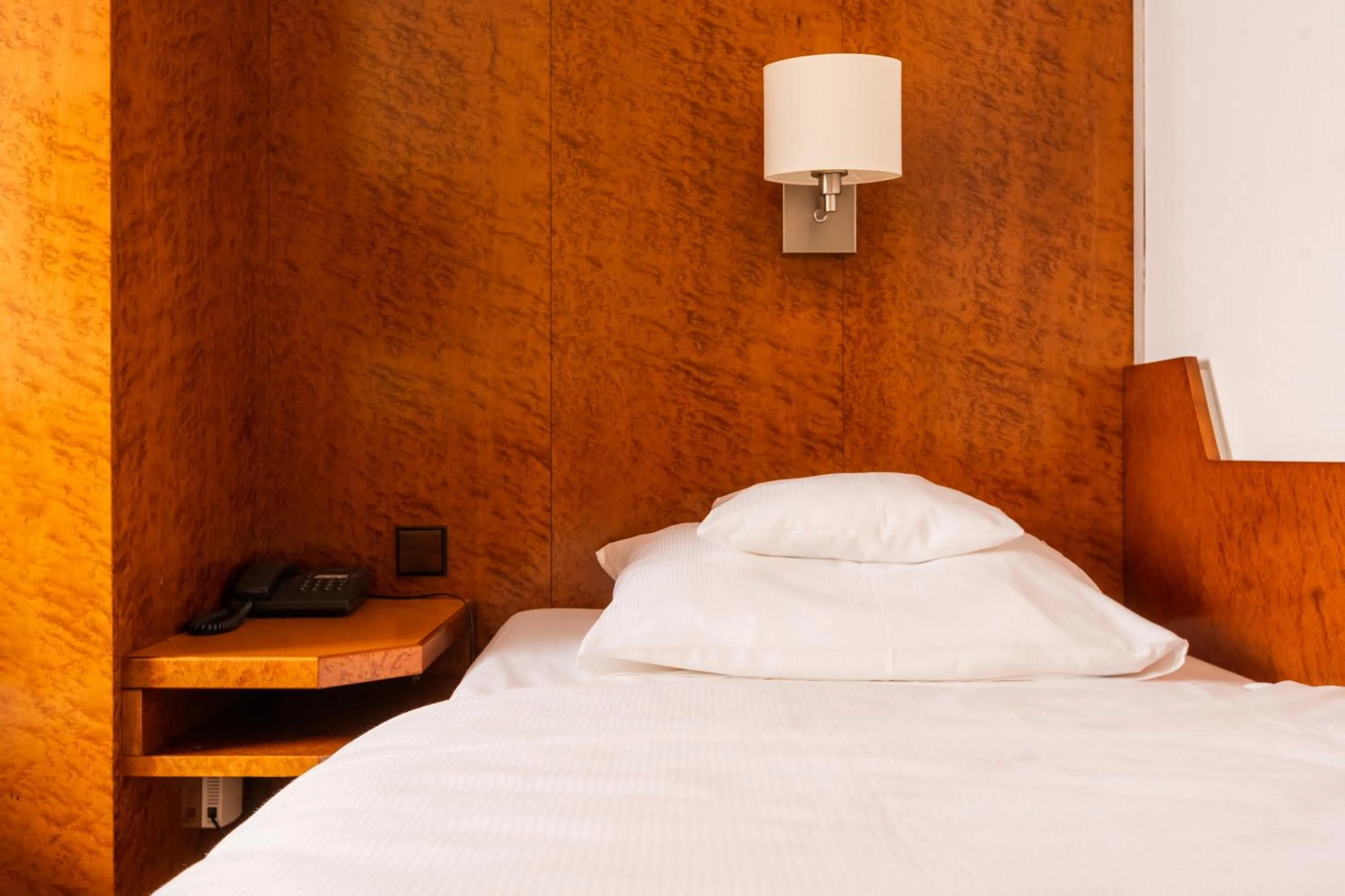 Standard Single Room in Hotel Royal