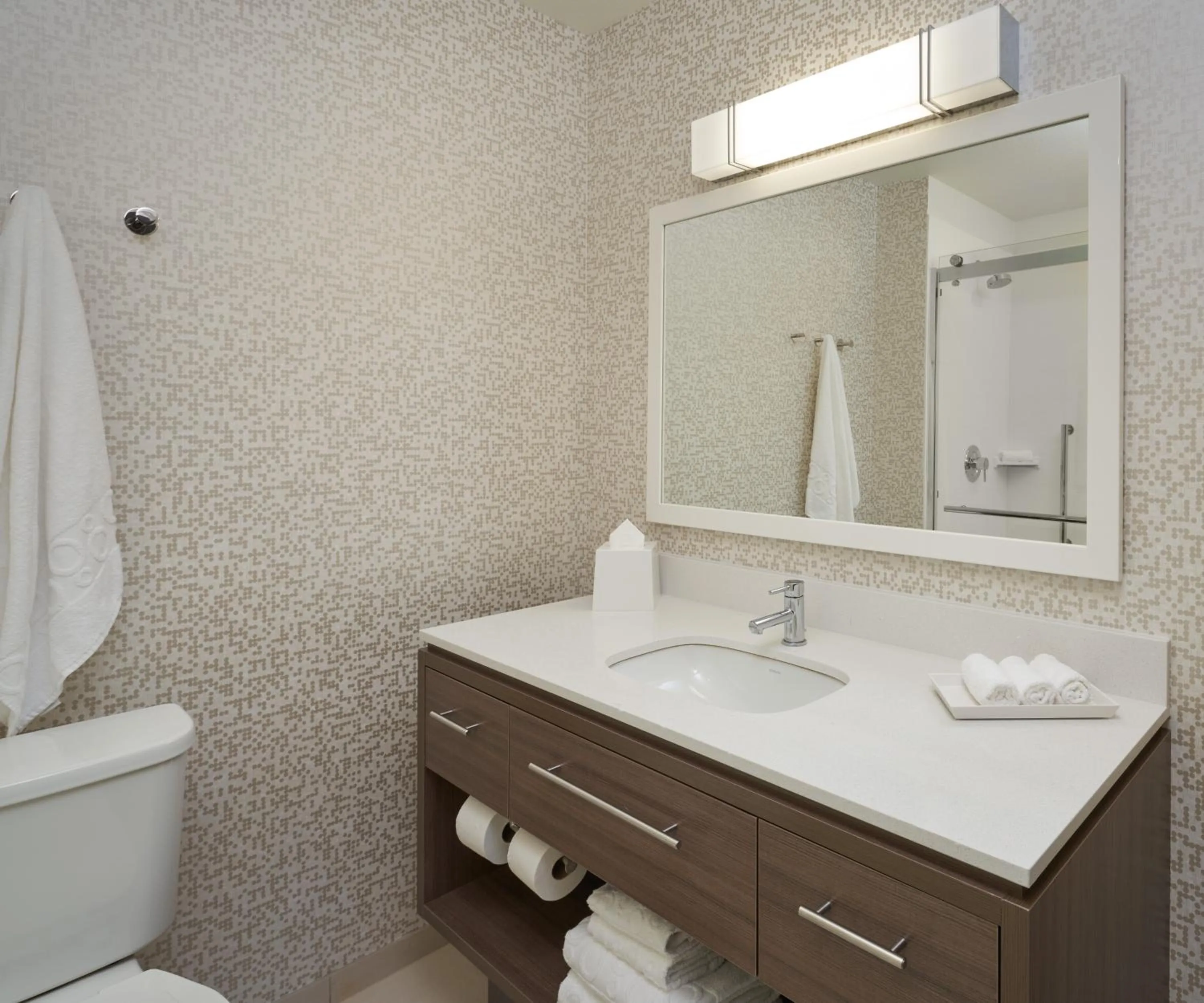 King Studio with Roll-In Shower - Disability Access/Non-Smoking in Home2 Suites By Hilton Ft. Lauderdale Downtown, Fl