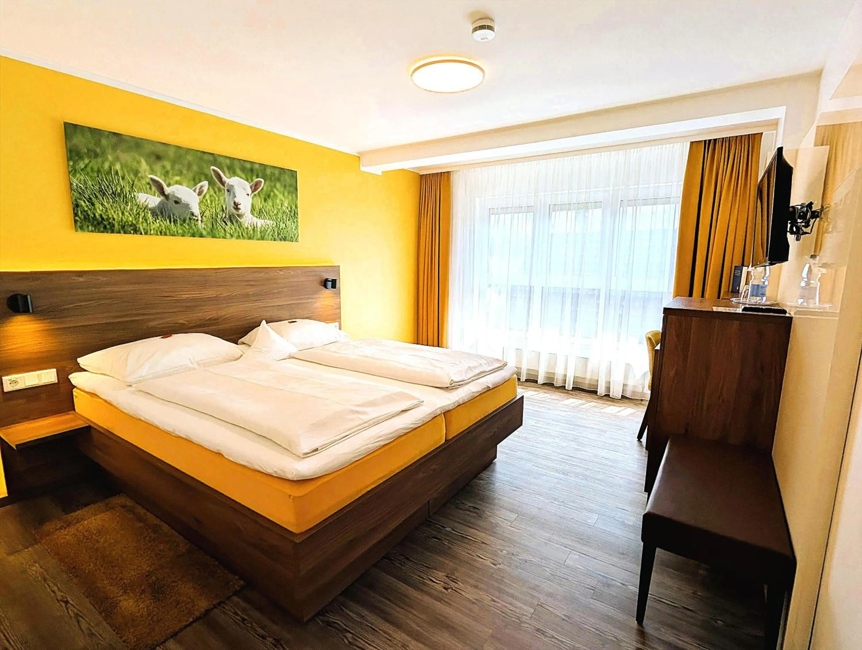 Double Room - single occupancy - Disability Access in Hotel Lamm