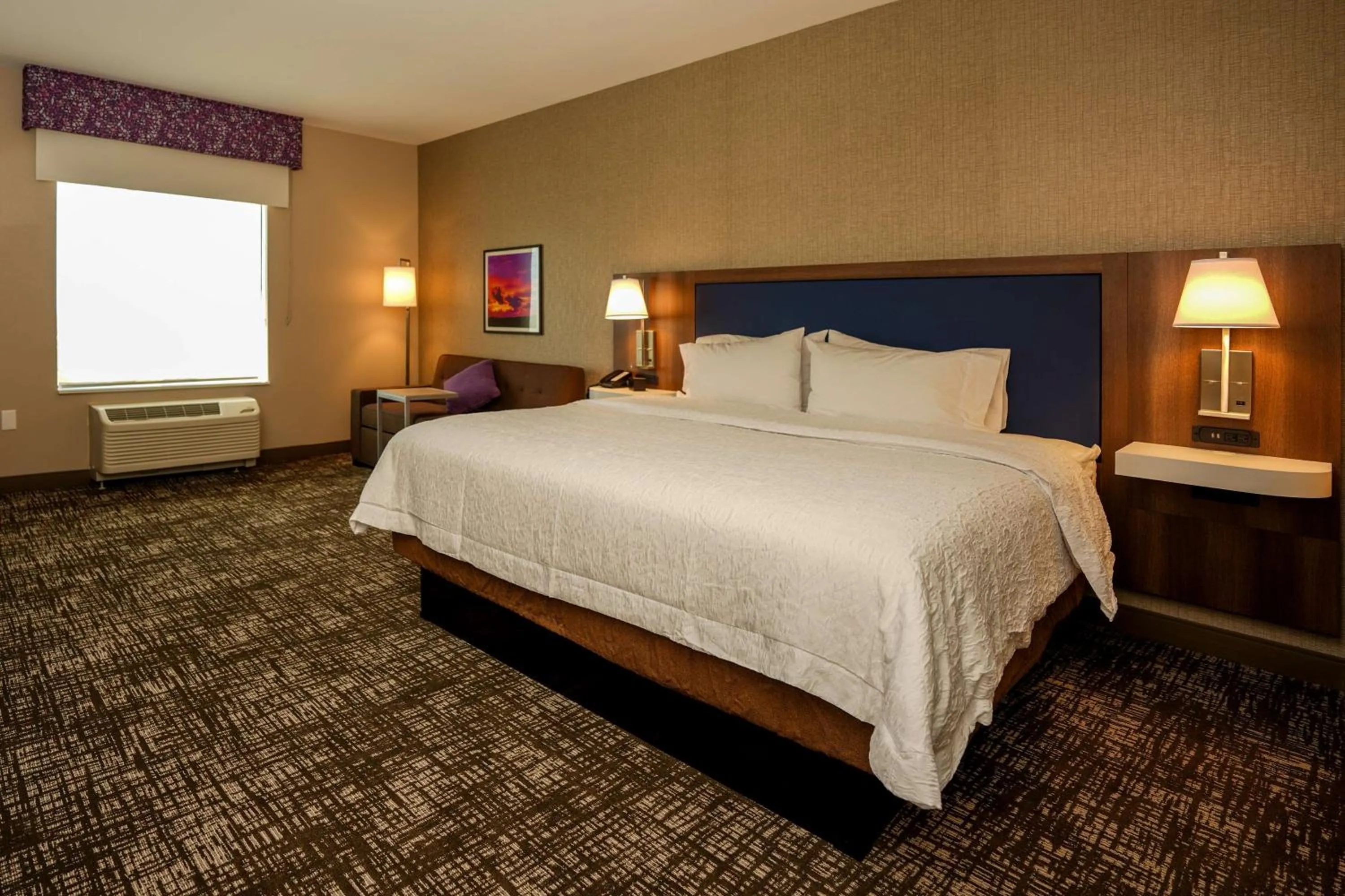 King Room with Roll-in Shower - Disability Accessible/Non-Smoking in Hampton Inn & Suites Aurora South, Co