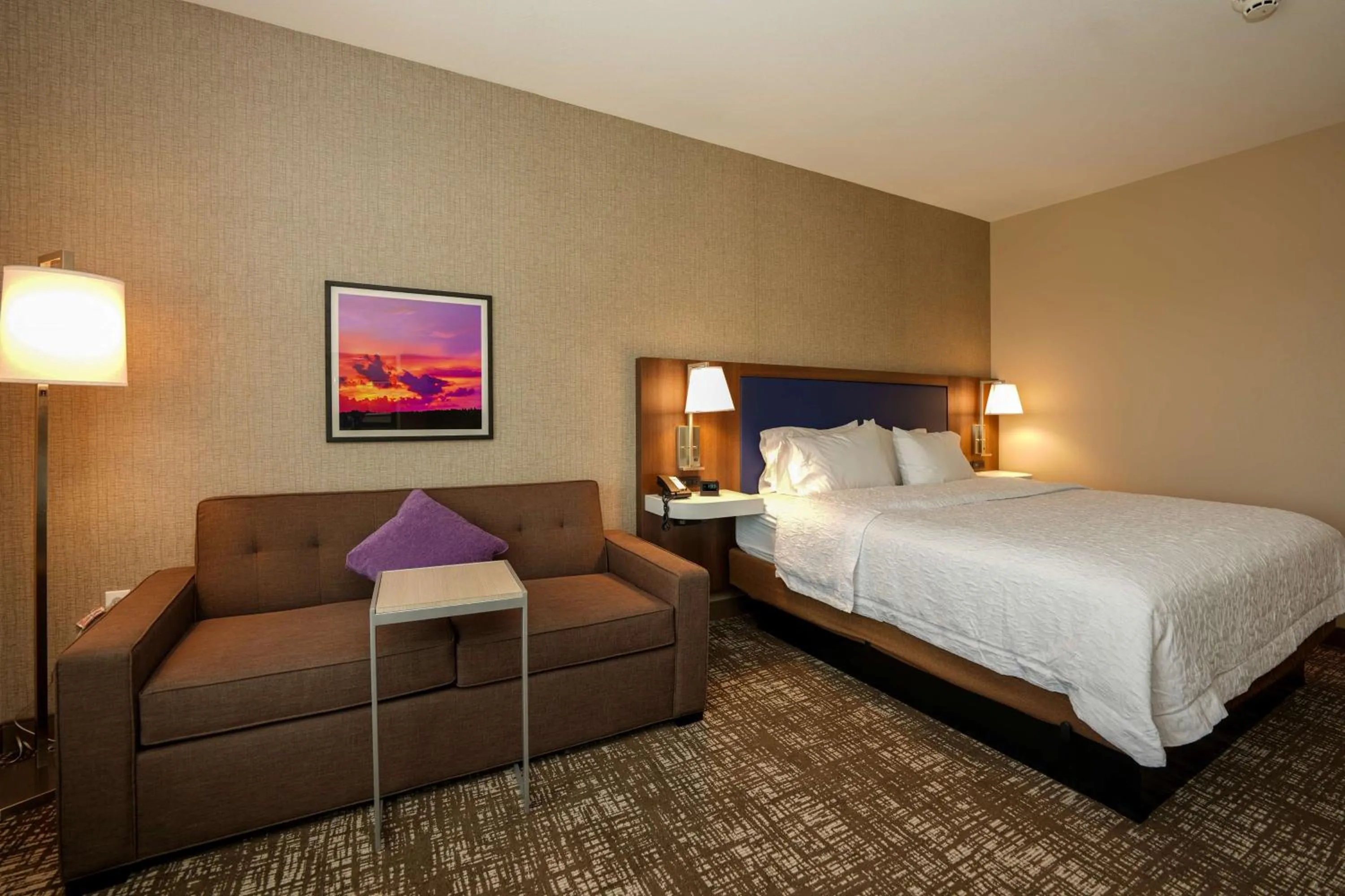 King Studio Suite with Sofa Bed - Hearing Access/Non-Smoking in Hampton Inn & Suites Aurora South, Co