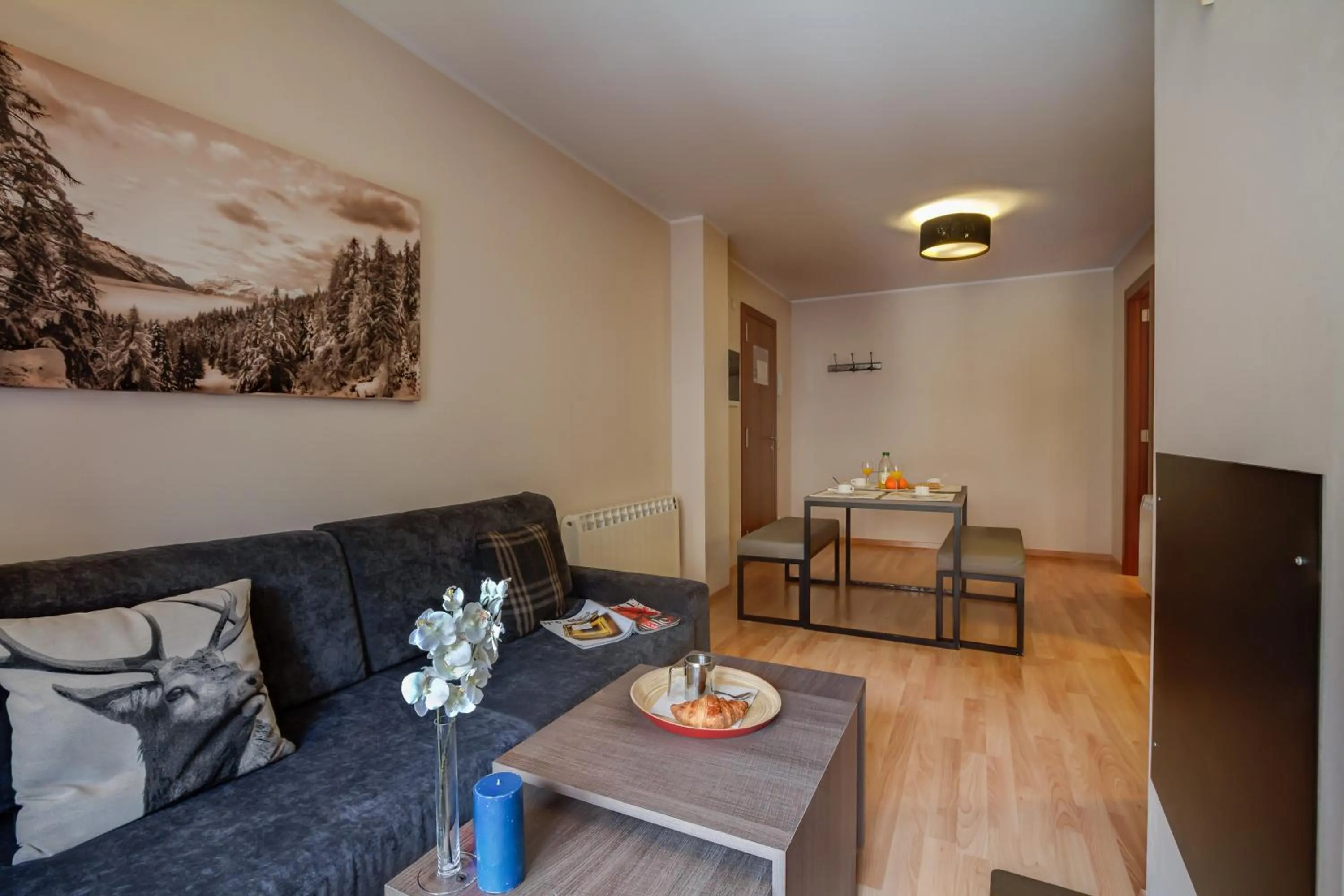 One-Bedroom Apartment (2-4 Adults)  in Pierre & Vacances Andorra El Tarter