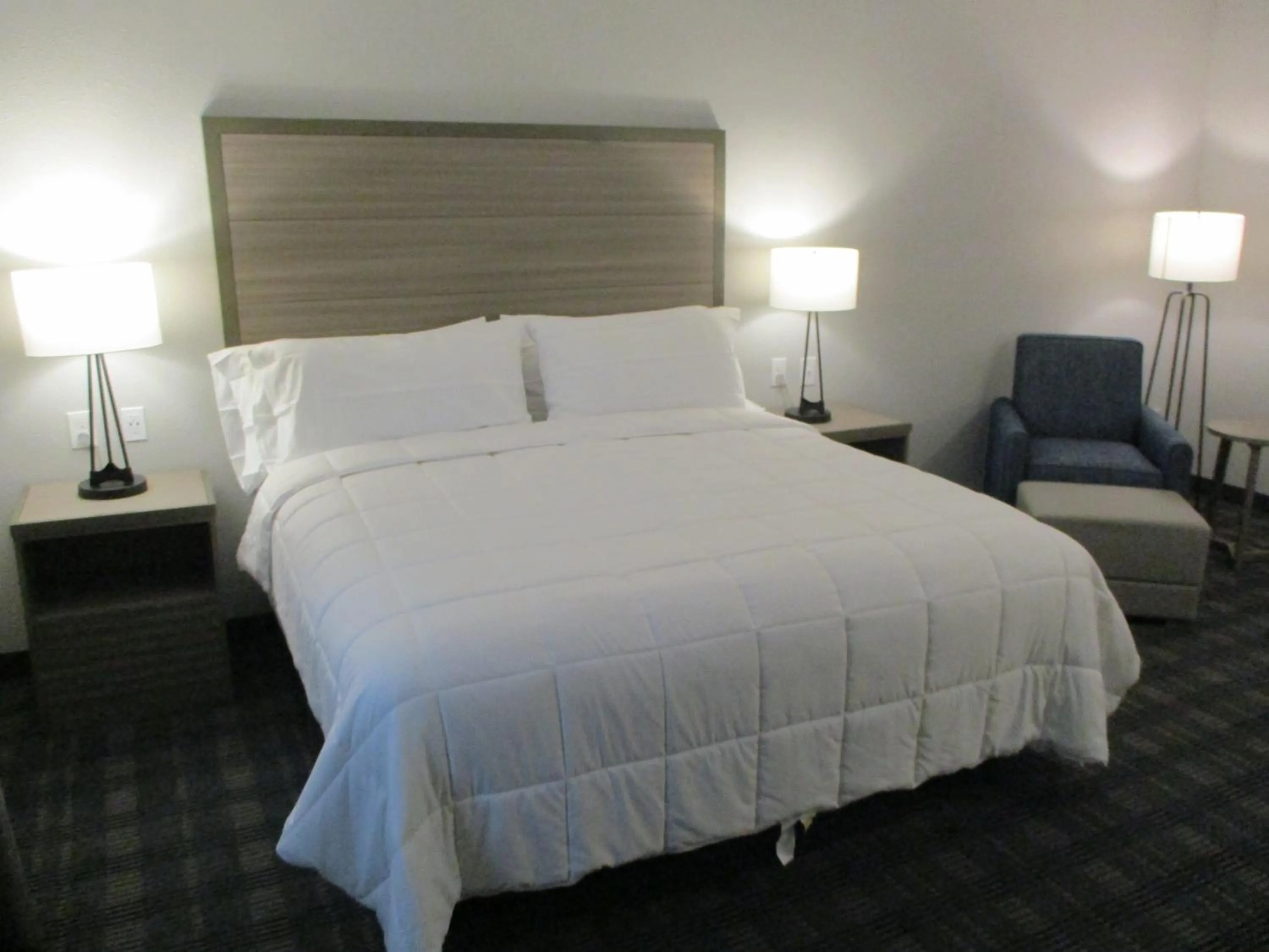 King Room with Roll-In Shower - Disability Access in Best Western Plus Wills Point