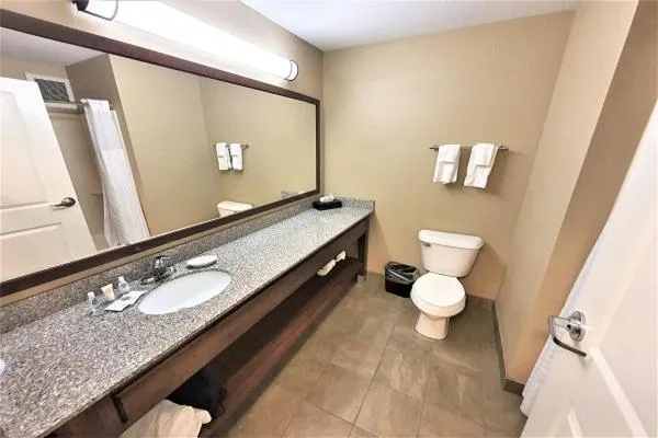 Deluxe King Room in AmeriVu Inn and Suites - Chisago City