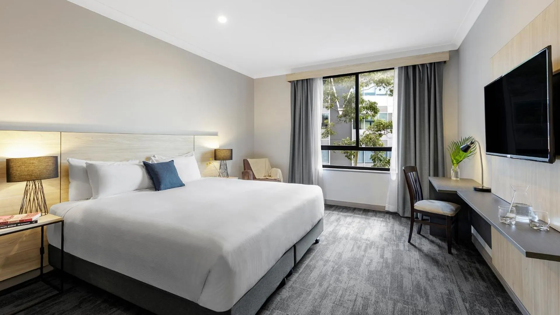 Executive Studio in Oaks Sydney North Ryde Suites