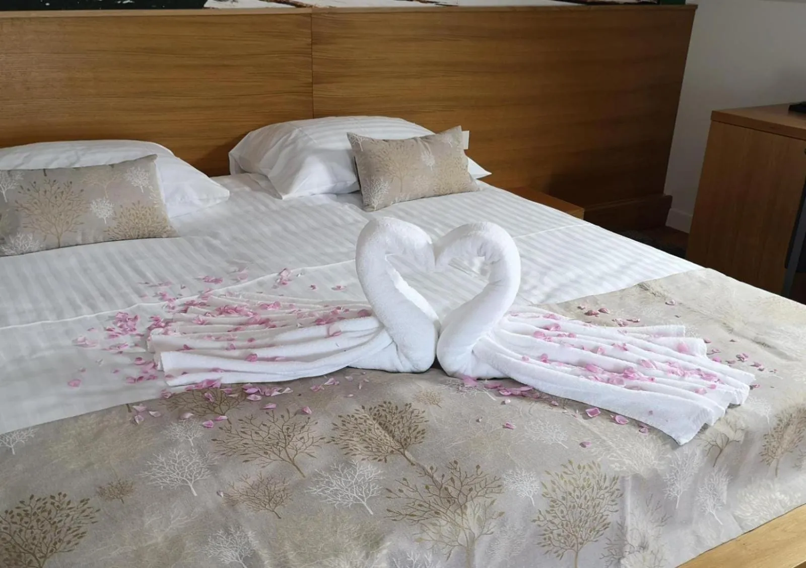 Double or Twin Room - single occupancy in Hotel Palcich Plitvice