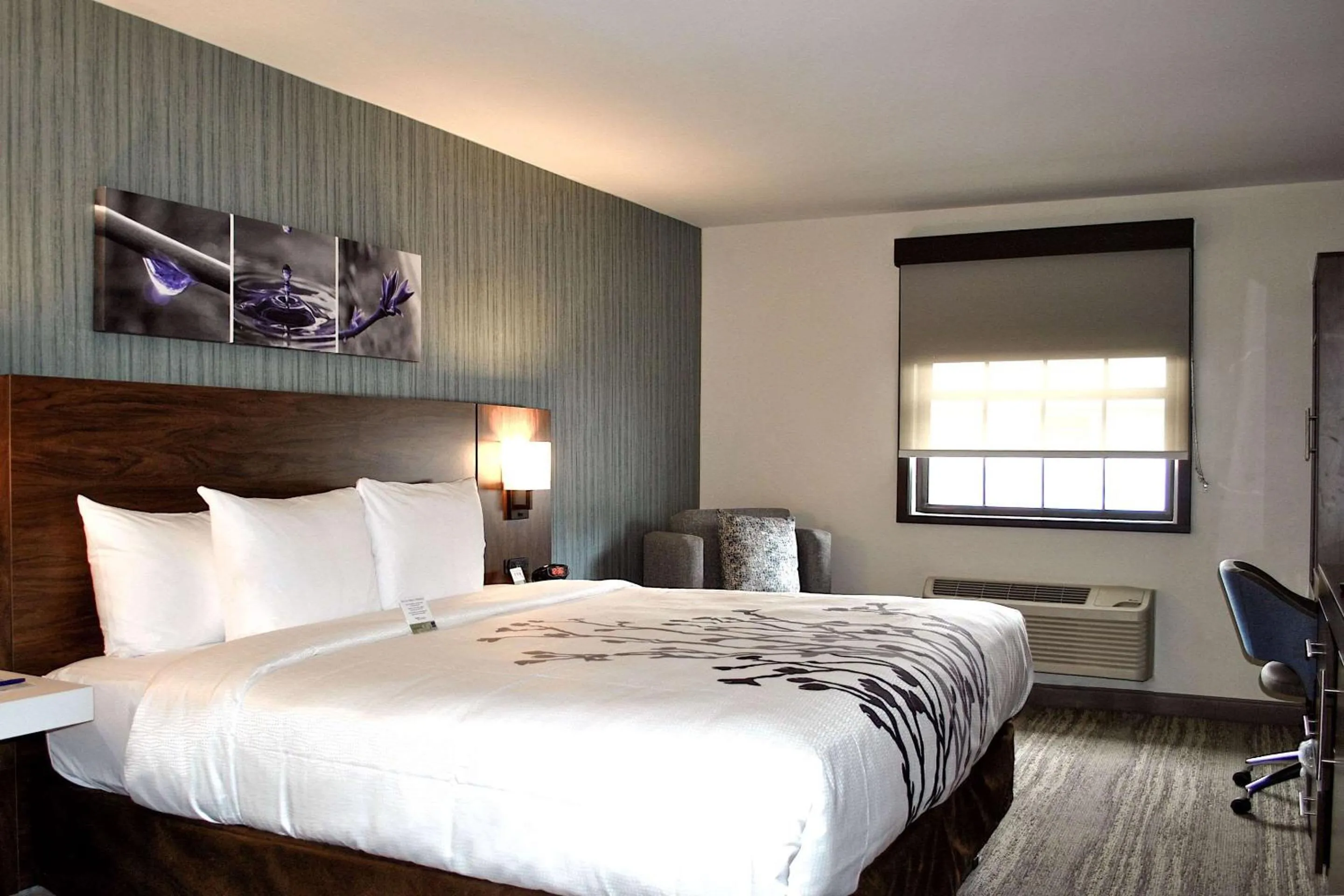 Standard King Room - Non-Smoking  in Sleep Inn Oakbrook Terrace - Chicago