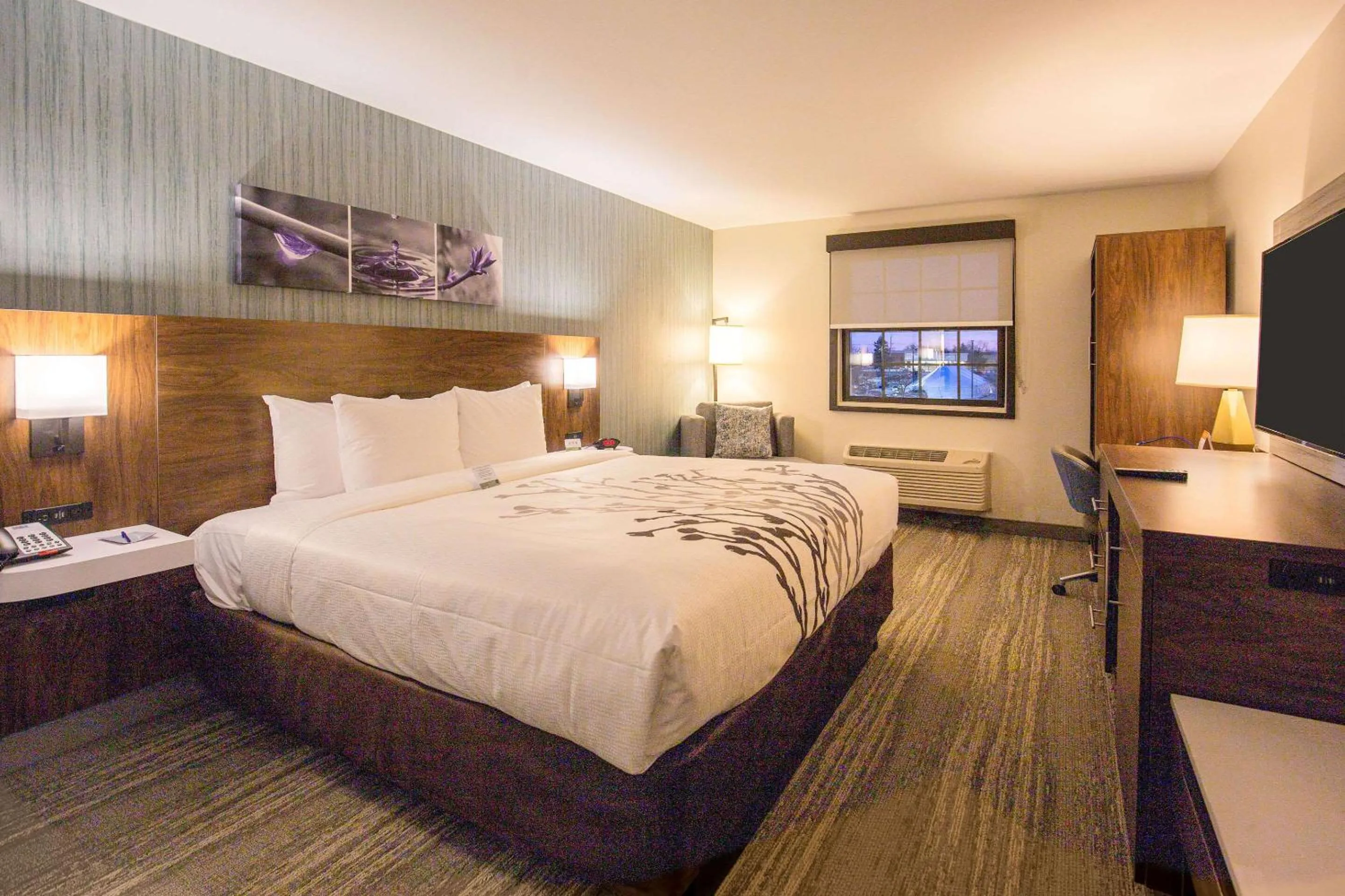 King Room with Roll in Shower - Accessible/Non Smoking in Sleep Inn Oakbrook Terrace - Chicago