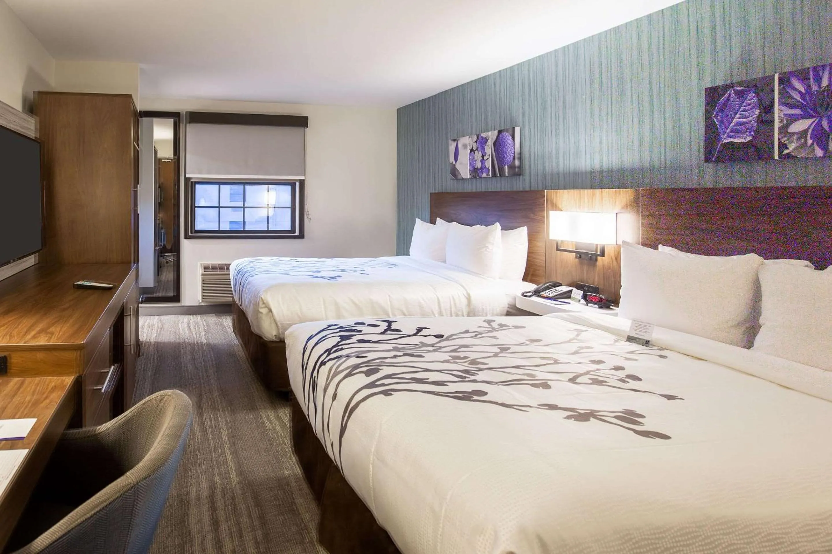 Standard Queen Room with Two Queen Beds - Non-Smoking in Sleep Inn Oakbrook Terrace - Chicago