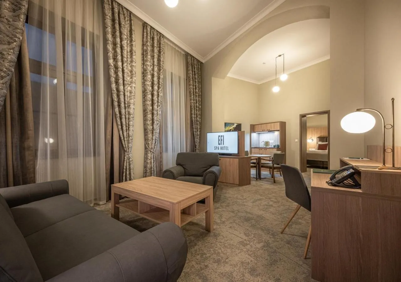 Deluxe Junior Suite with Spa Access in EFI SPA Hotel Superior & Pivovar