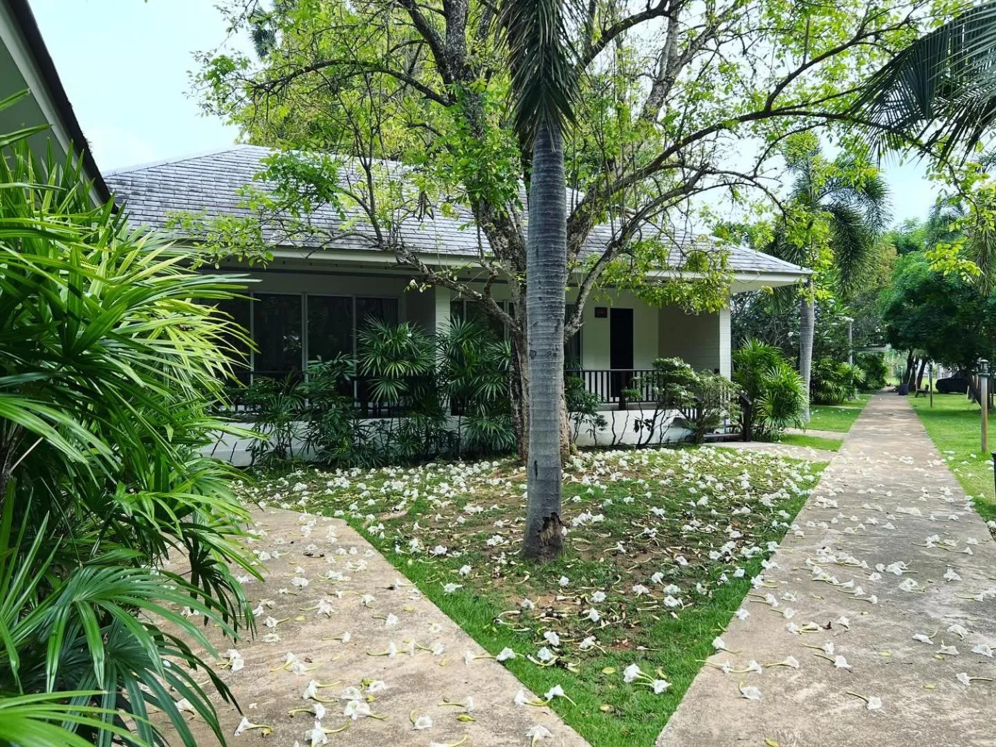 Deluxe Double  or Twin Room in Nisasiri Boutique Resort