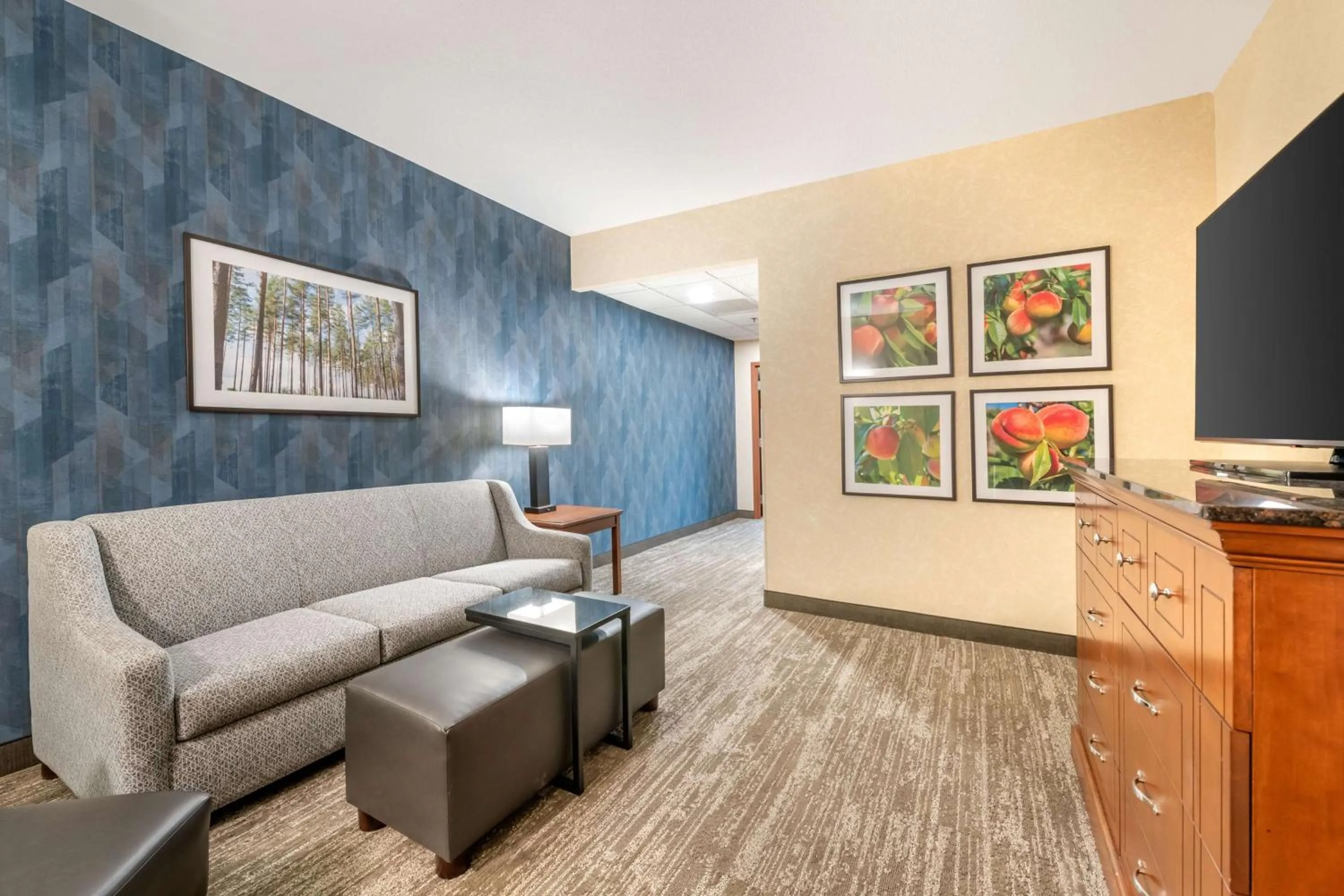 Queen Suite with Sofa Bed - Accessible, Tub in Drury Inn & Suites Valdosta