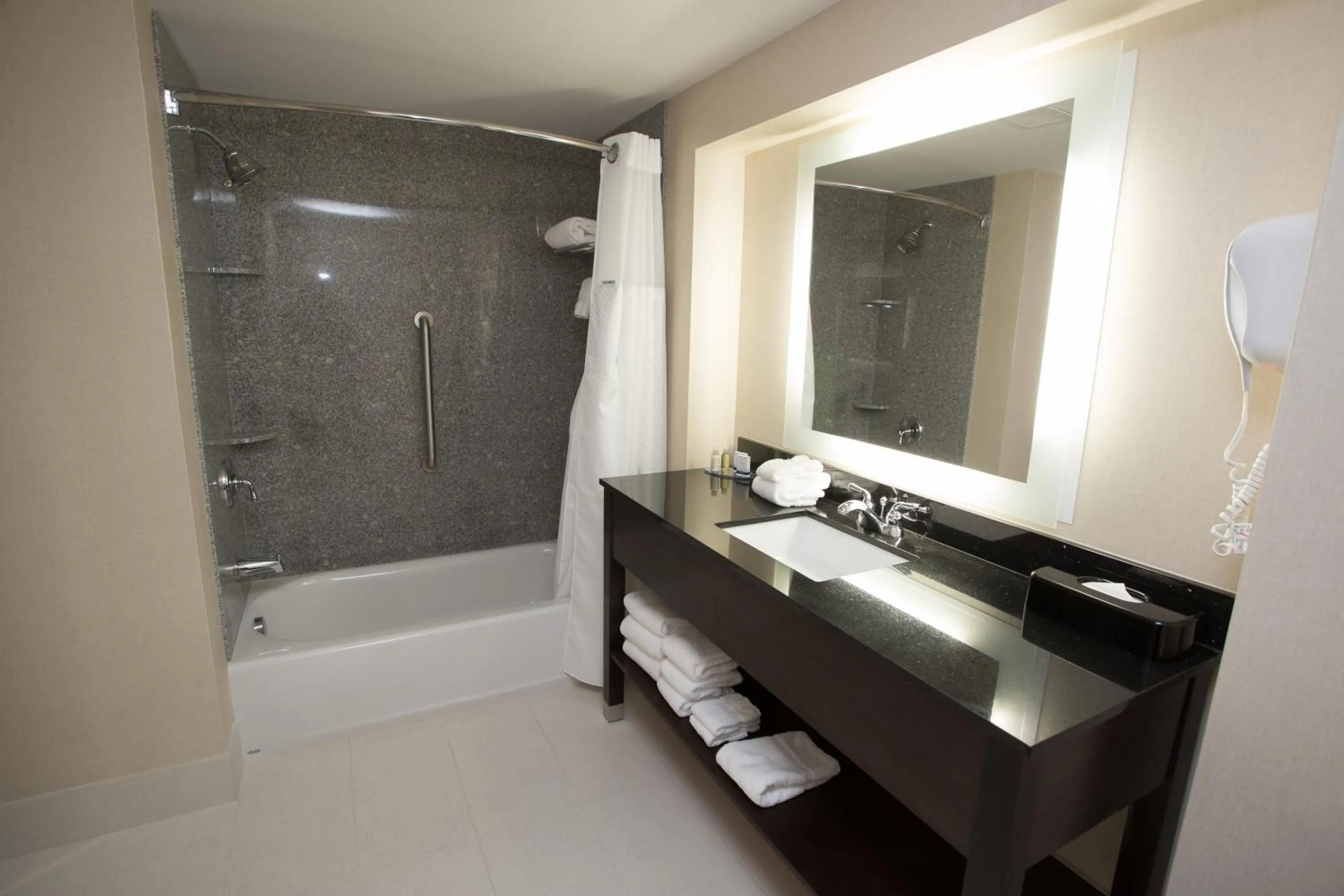 One-Bedroom Queen Suite - Non-Smoking in Wingate by Wyndham - Bismarck