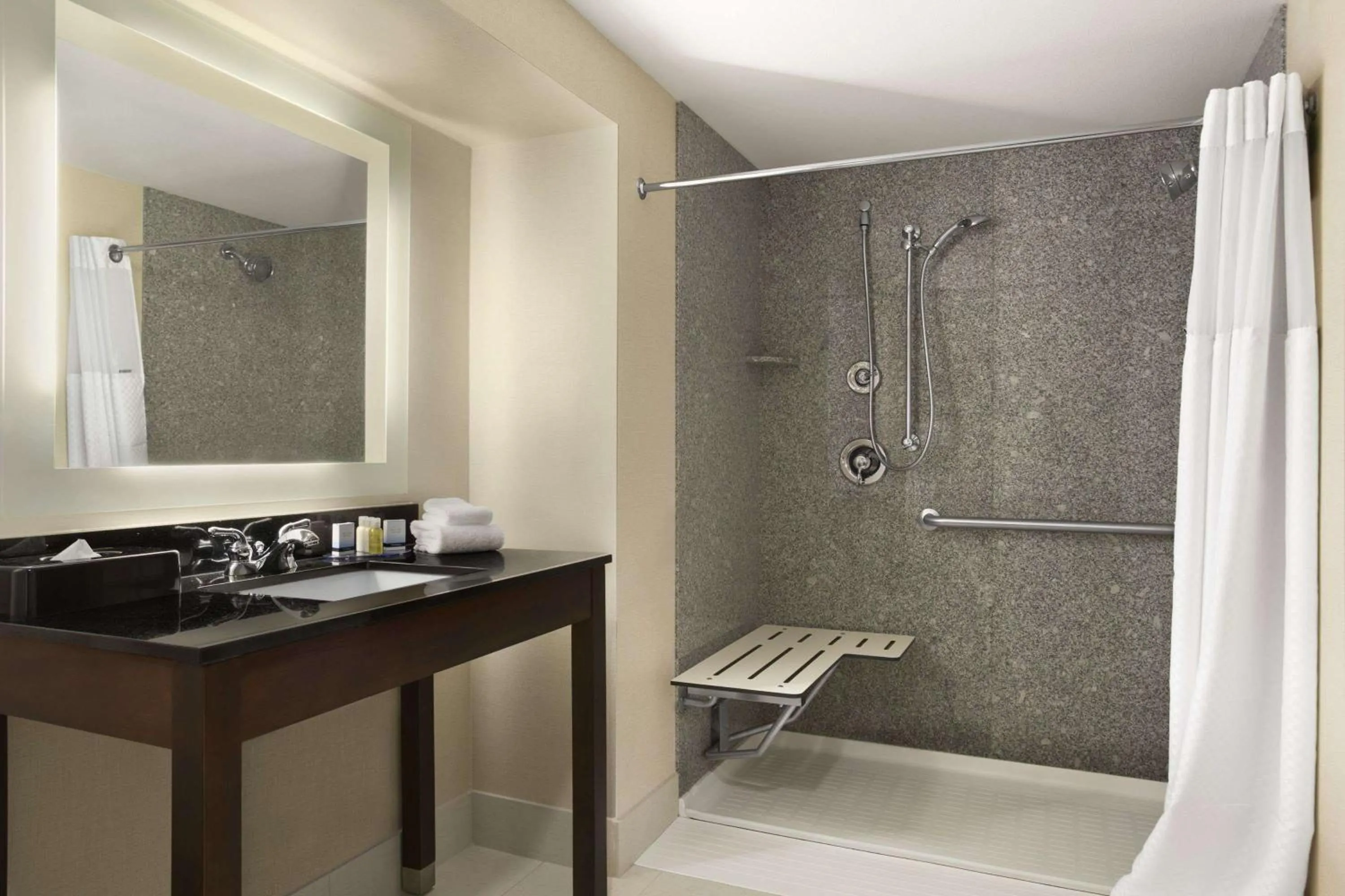 One-Bedroom Suite - Disability Access/Non-Smoking in Wingate by Wyndham - Bismarck