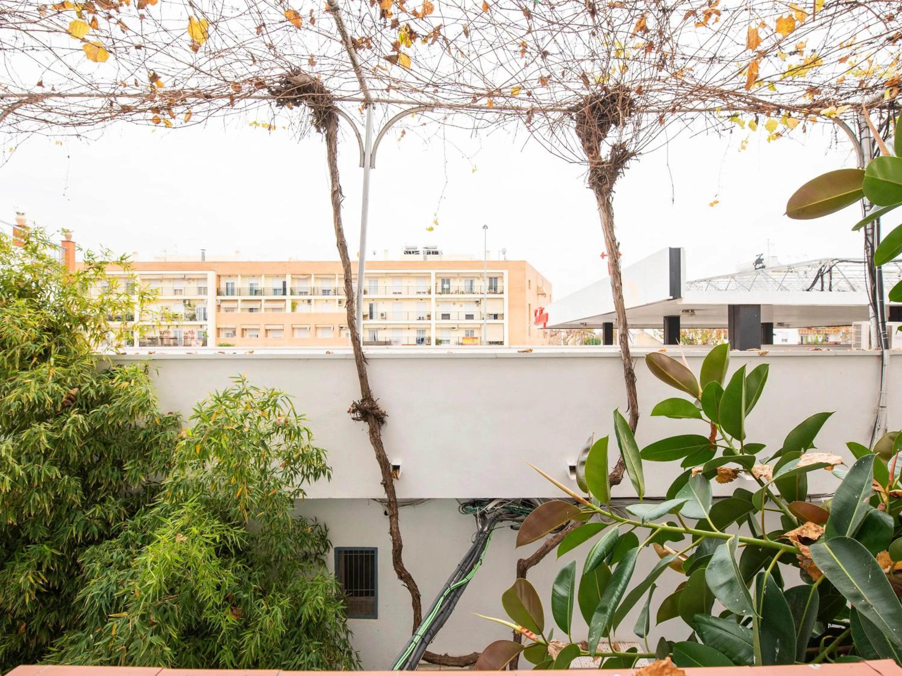 Twin Room in Hostal Santiago