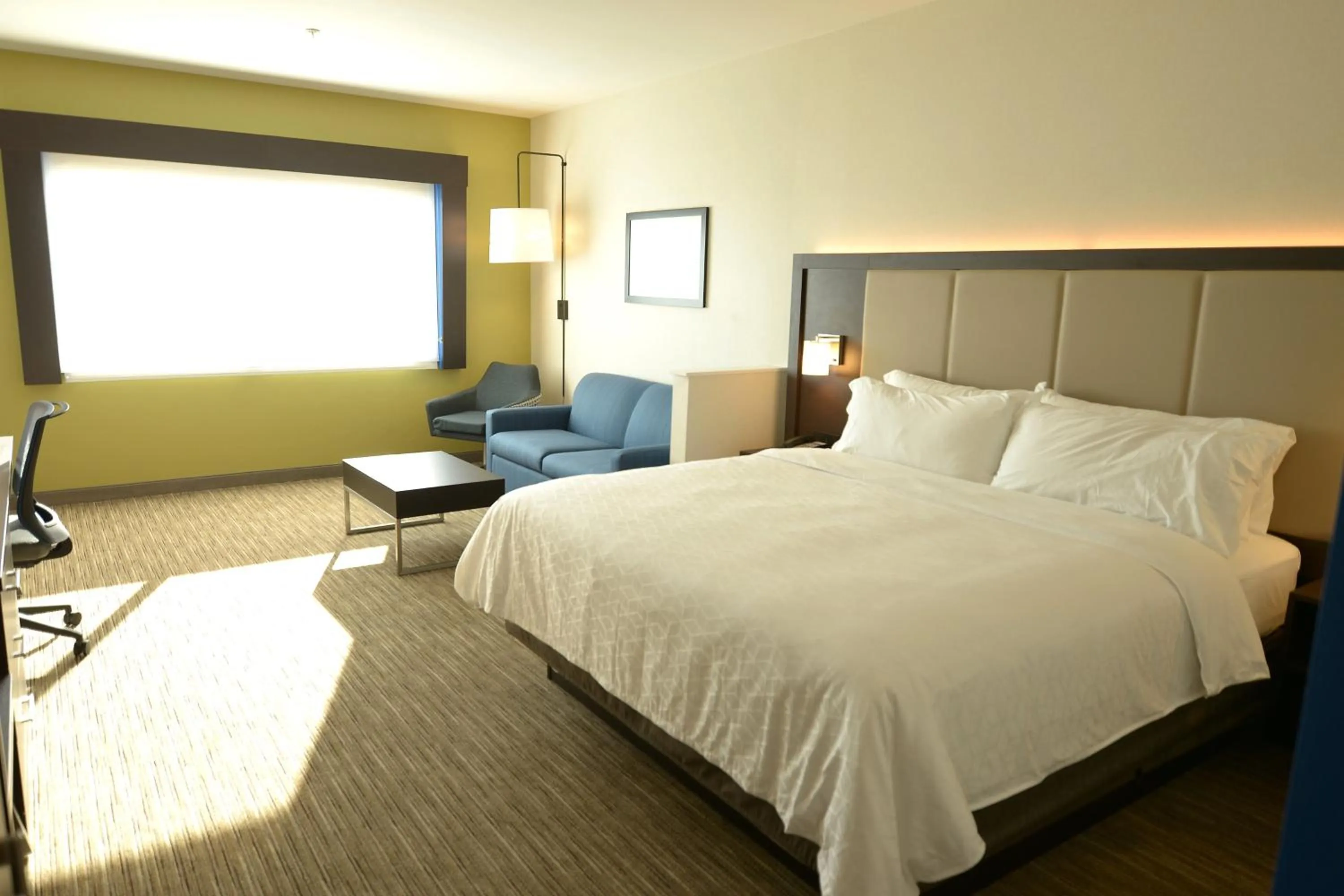 King Suite - Communication Accessible in Holiday Inn Express & Suites Onalaska - La Crosse Area by IHG