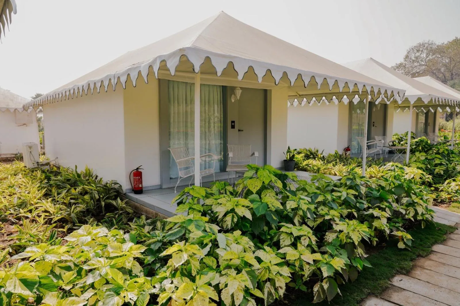 Winter Green Premium Tent, 1 King Bed - single occupancy in The Fern Seaside Luxurious Tent Resort Daman, Series by Marriott
