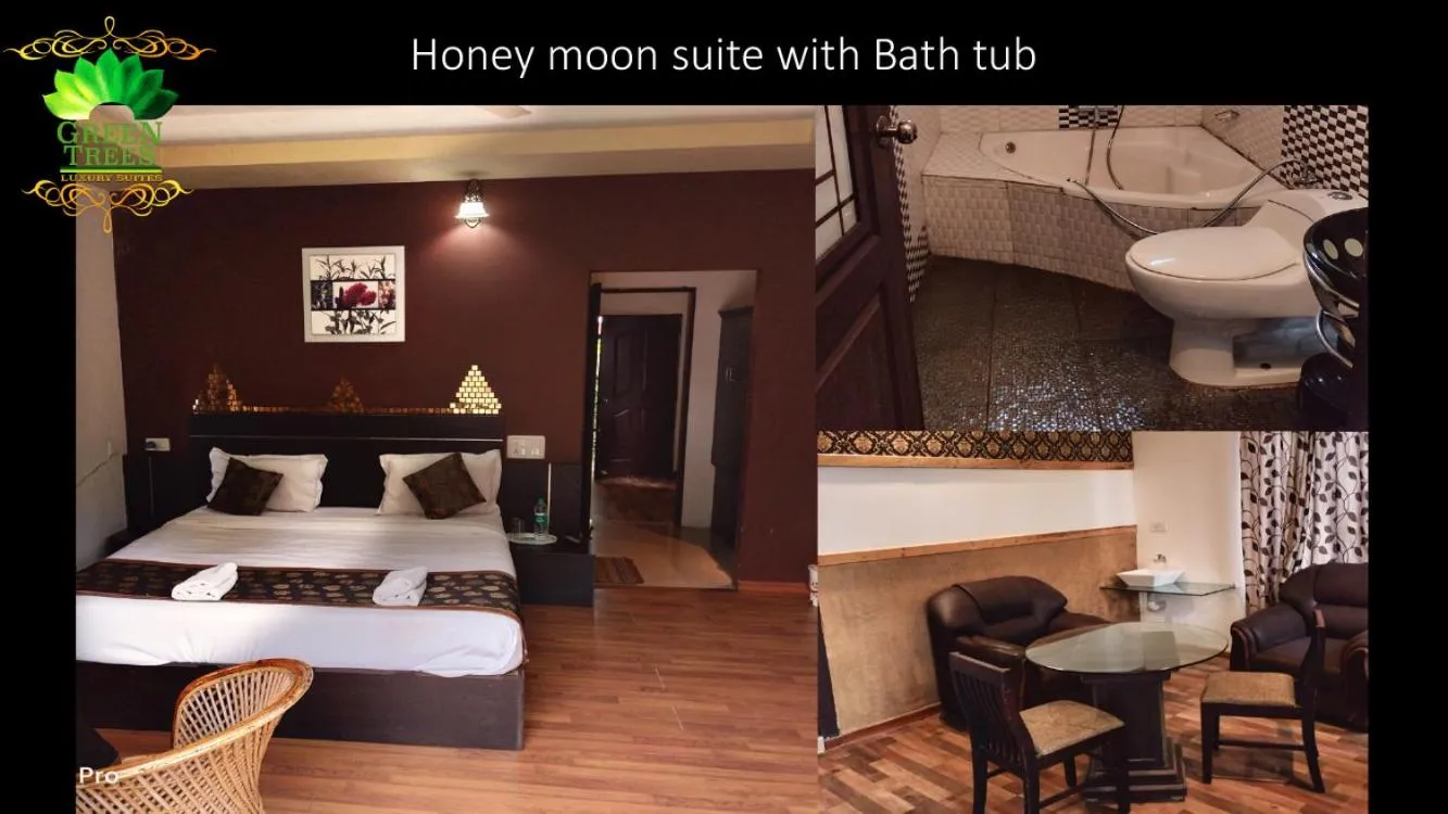 Junior Suite with Balcony in Green Trees Munnar