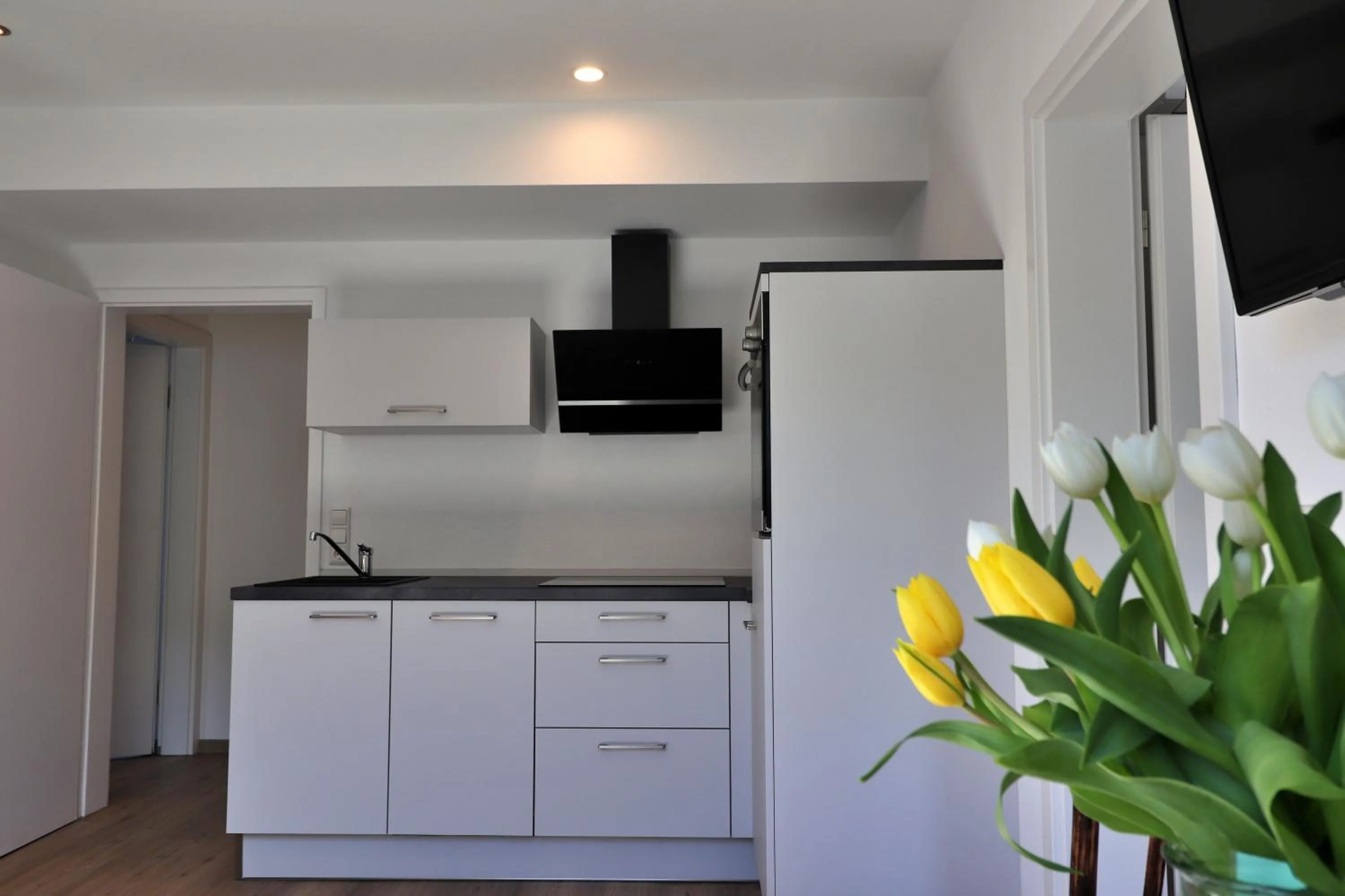 One-Bedroom Apartment - single occupancy in Hotel Zur Post