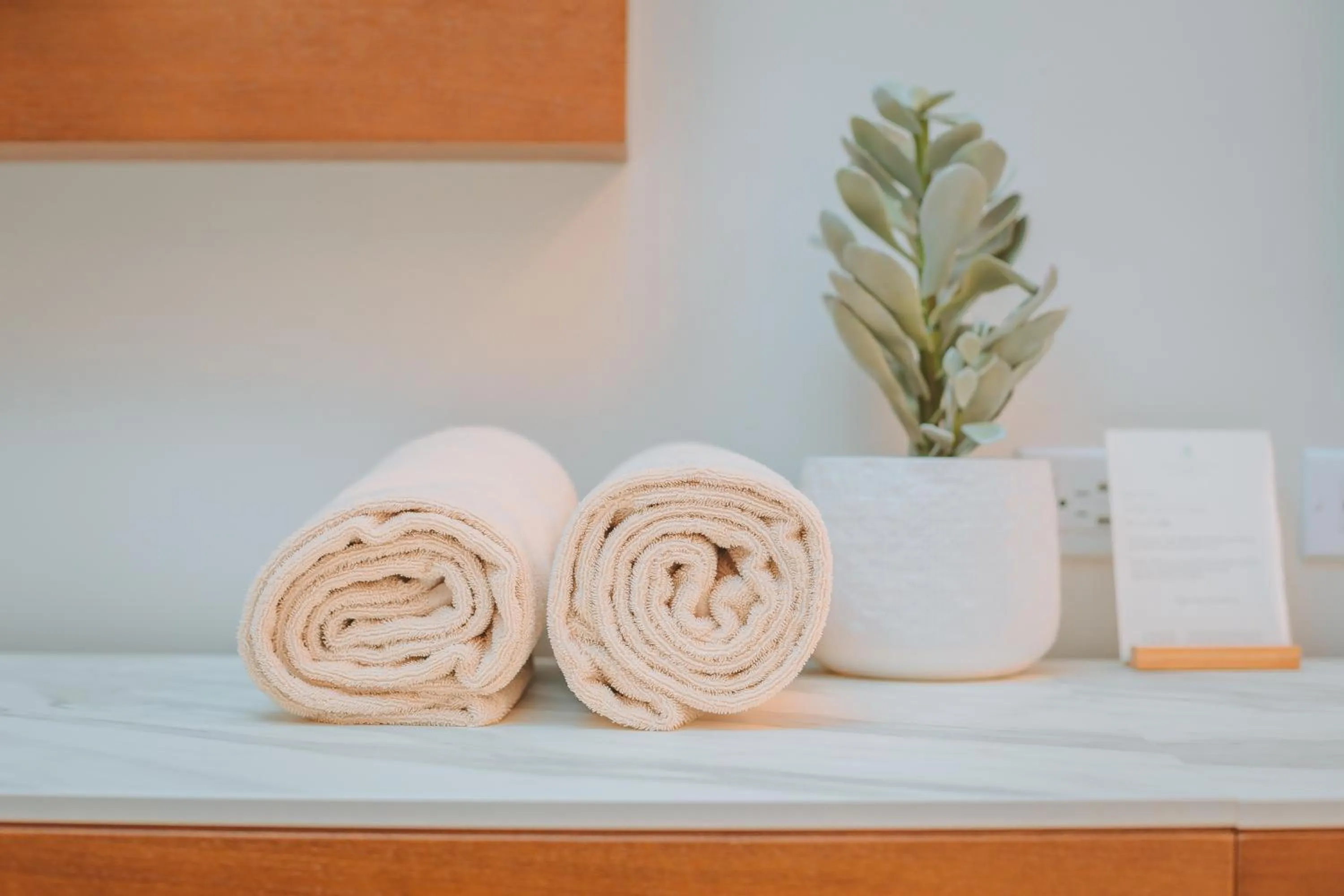 Deluxe Double Room with Ocean View in Manchebo Beach Resort and Spa