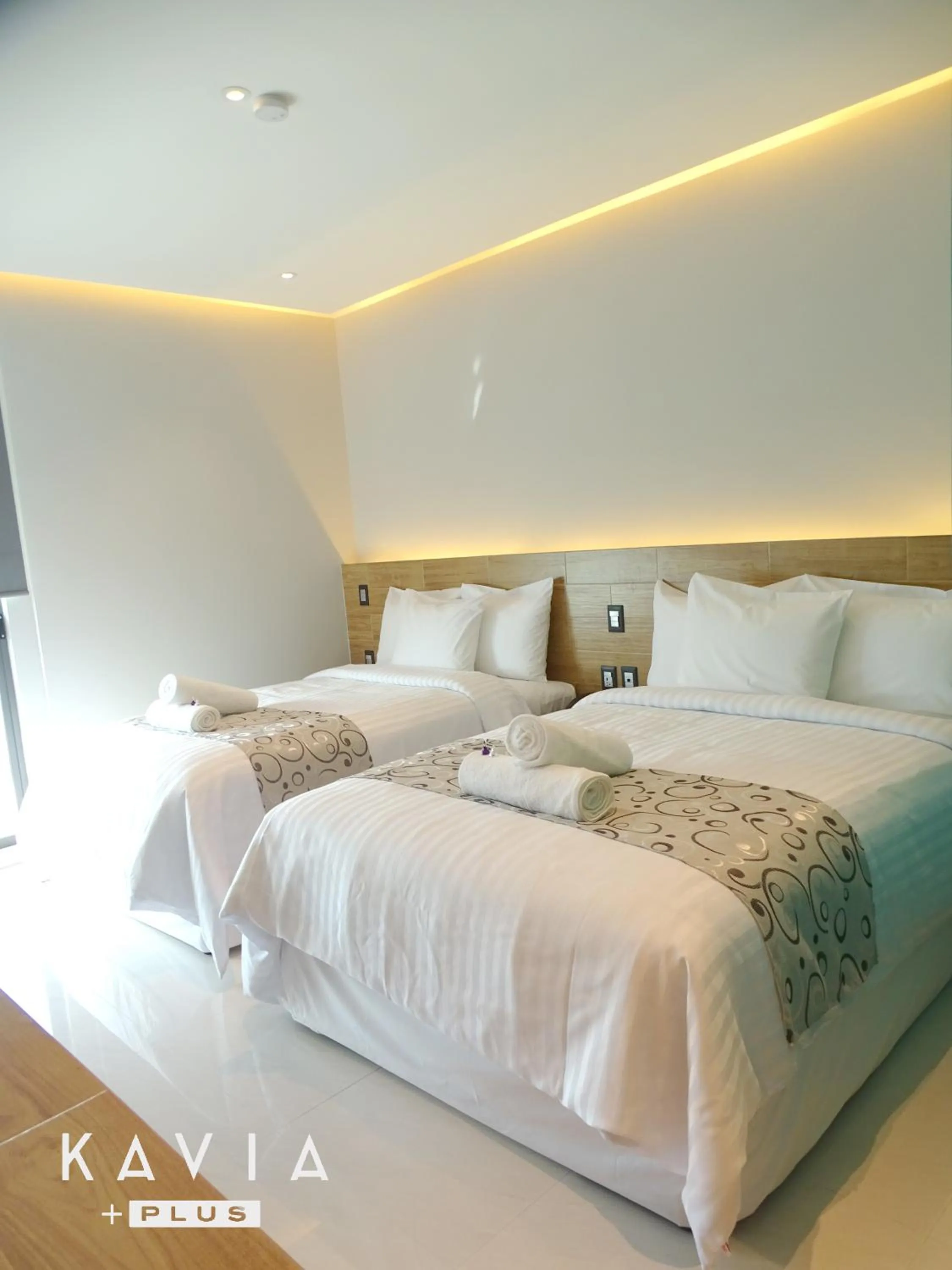 Deluxe Double Room in Hotel Kavia Plus