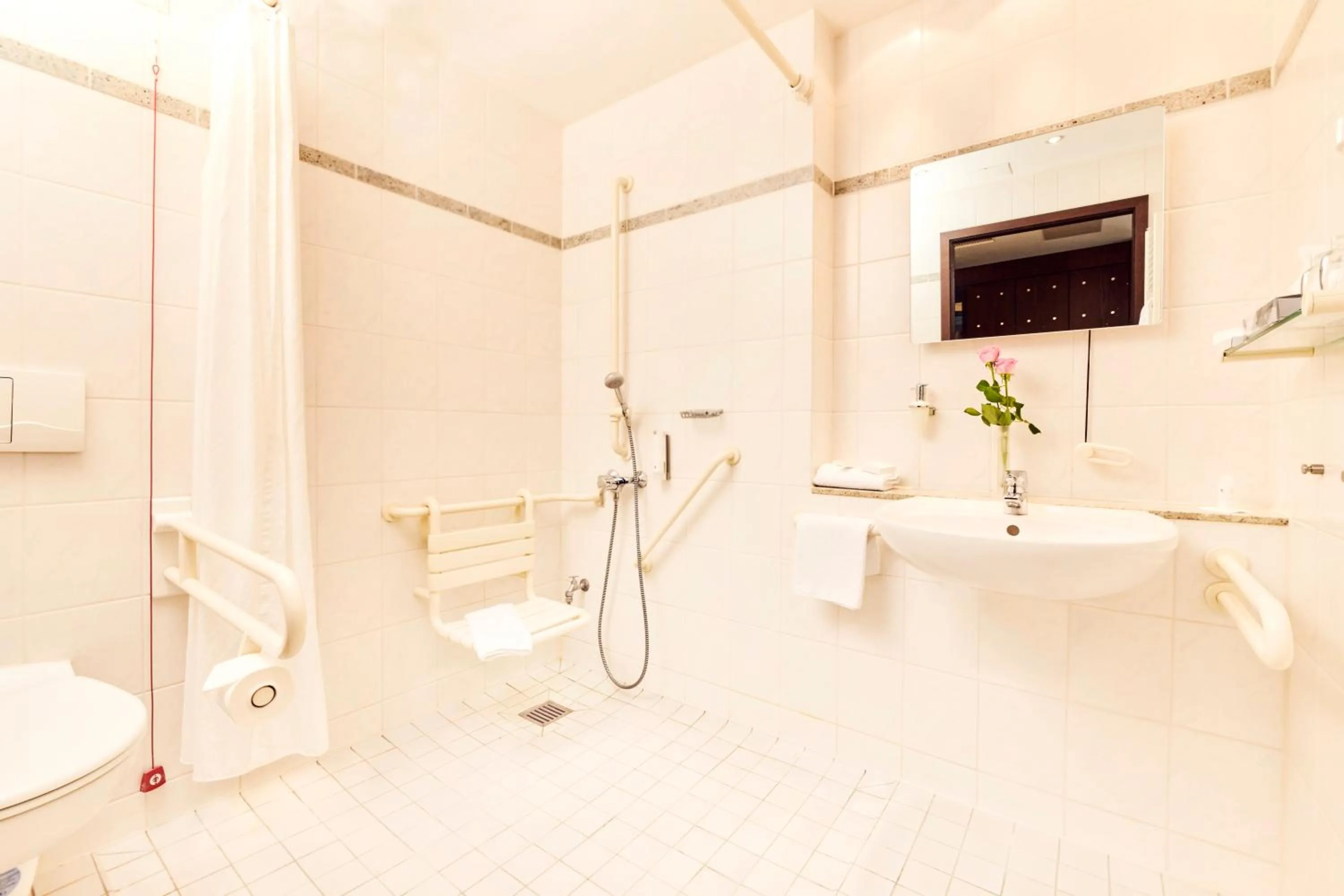 Executive Queen Room with Roll-In Shower - Disability in Best Western Soibelmanns Lutherstadt Wittenberg