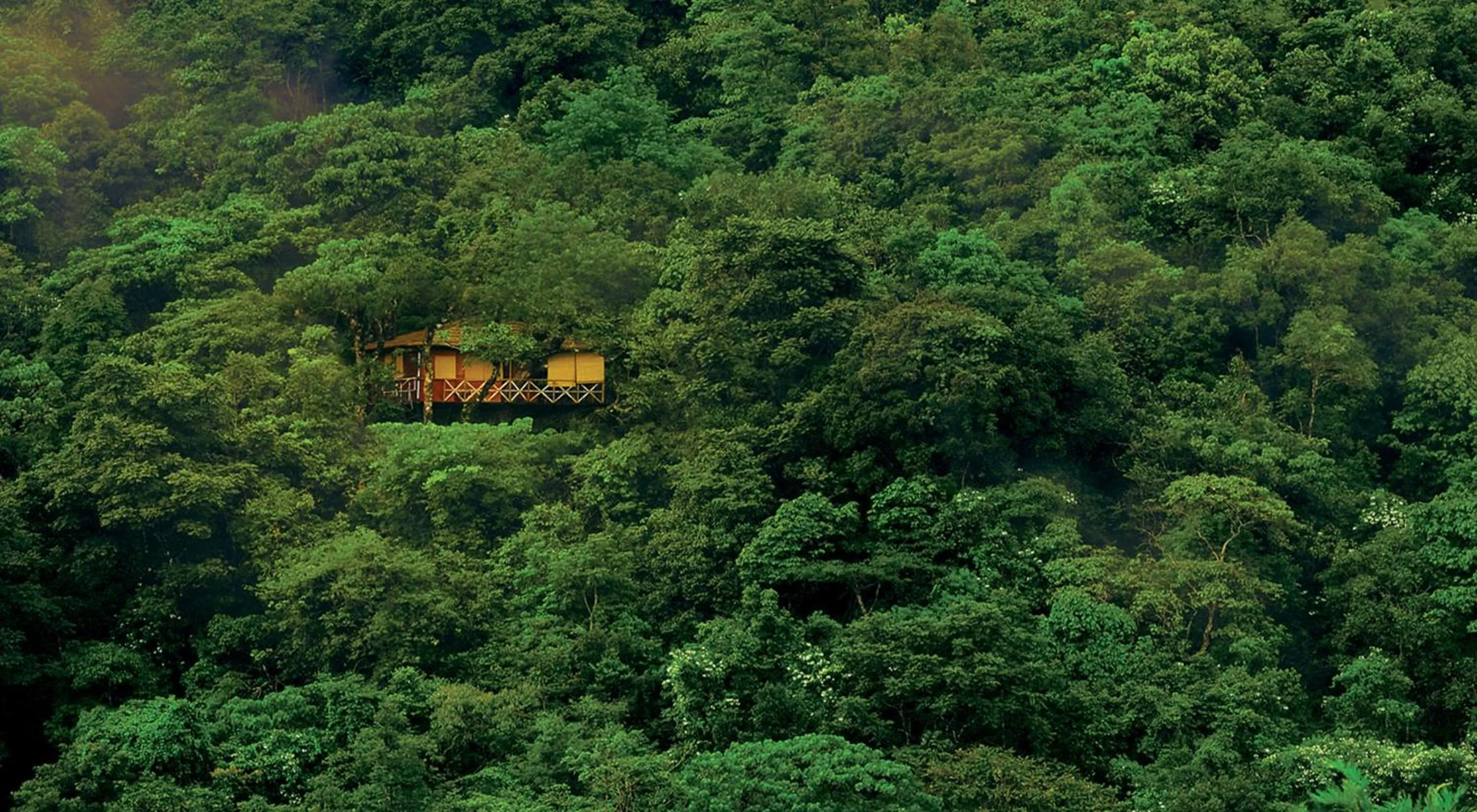 Regular Tree House in Vythiri Resort
