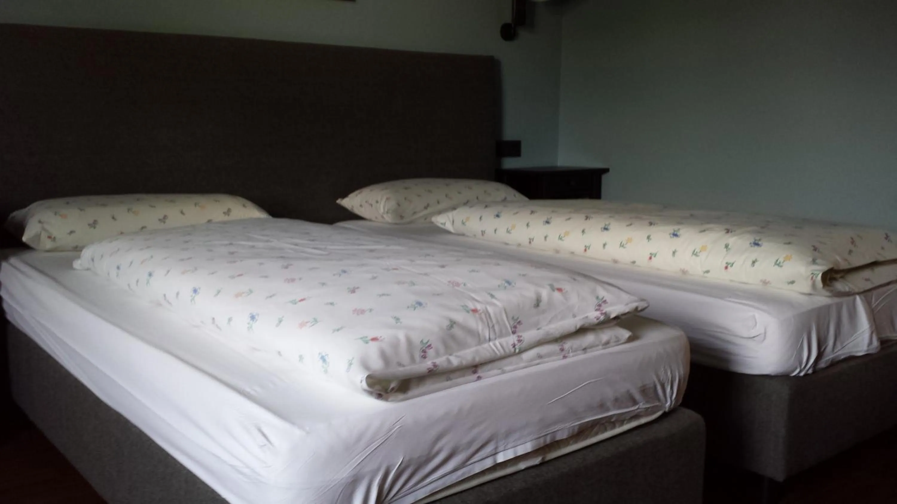 Twin Room - single occupancy in Hotel Henry