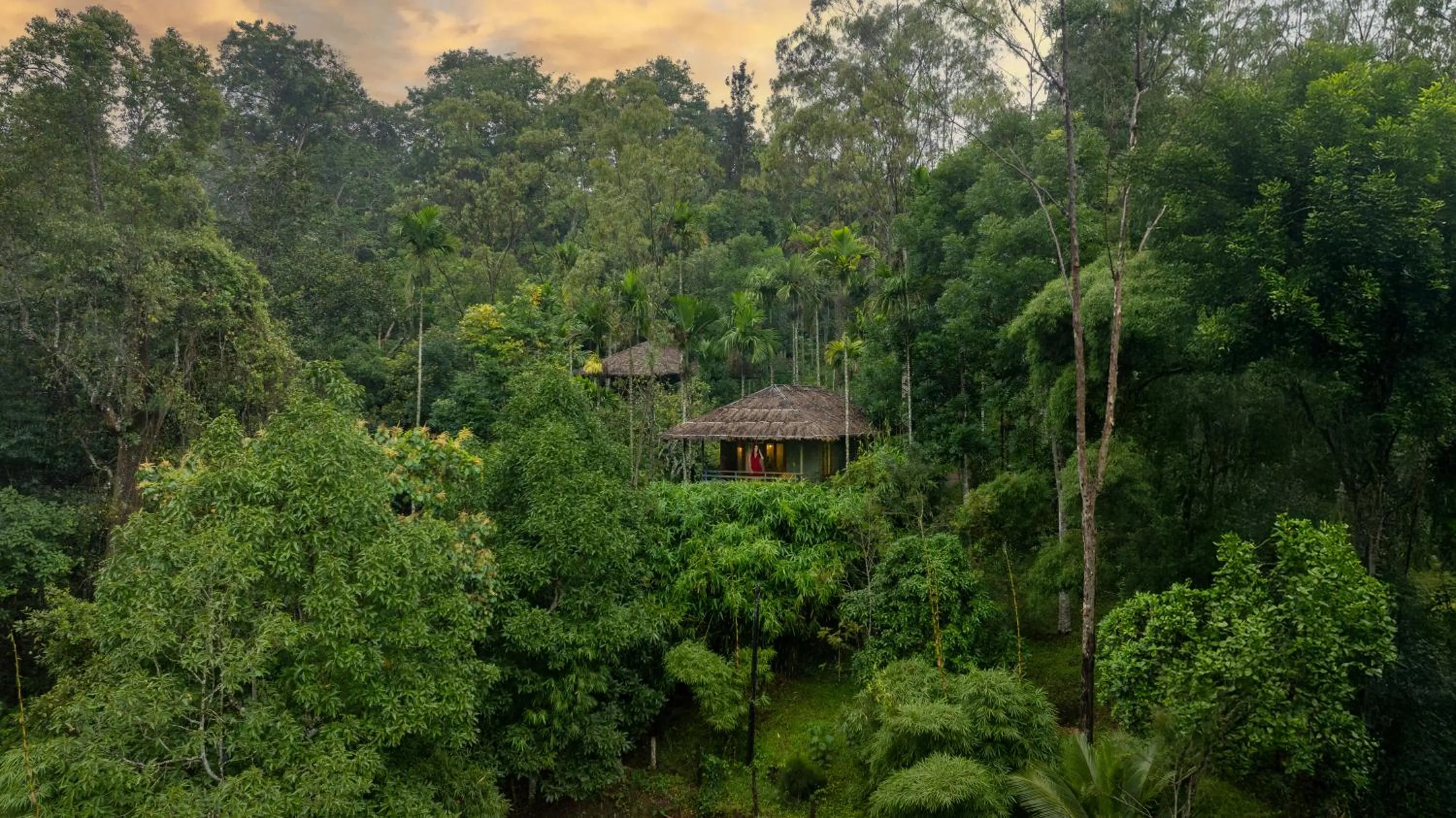 Elevated Cottage with Forest View in The Woods Resorts Wayanad