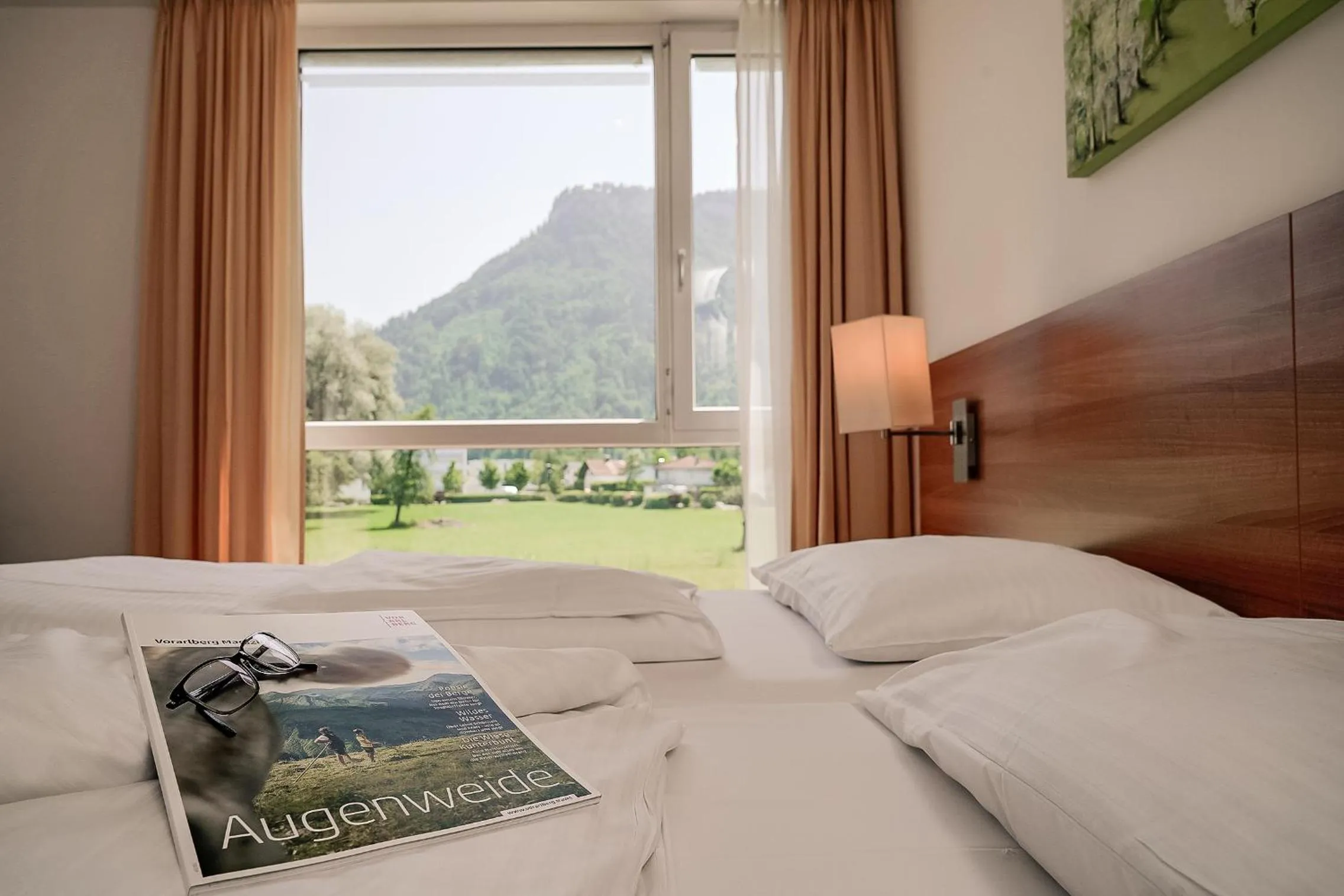 Double Room with Mountain View in Fairmotel Dornbirn