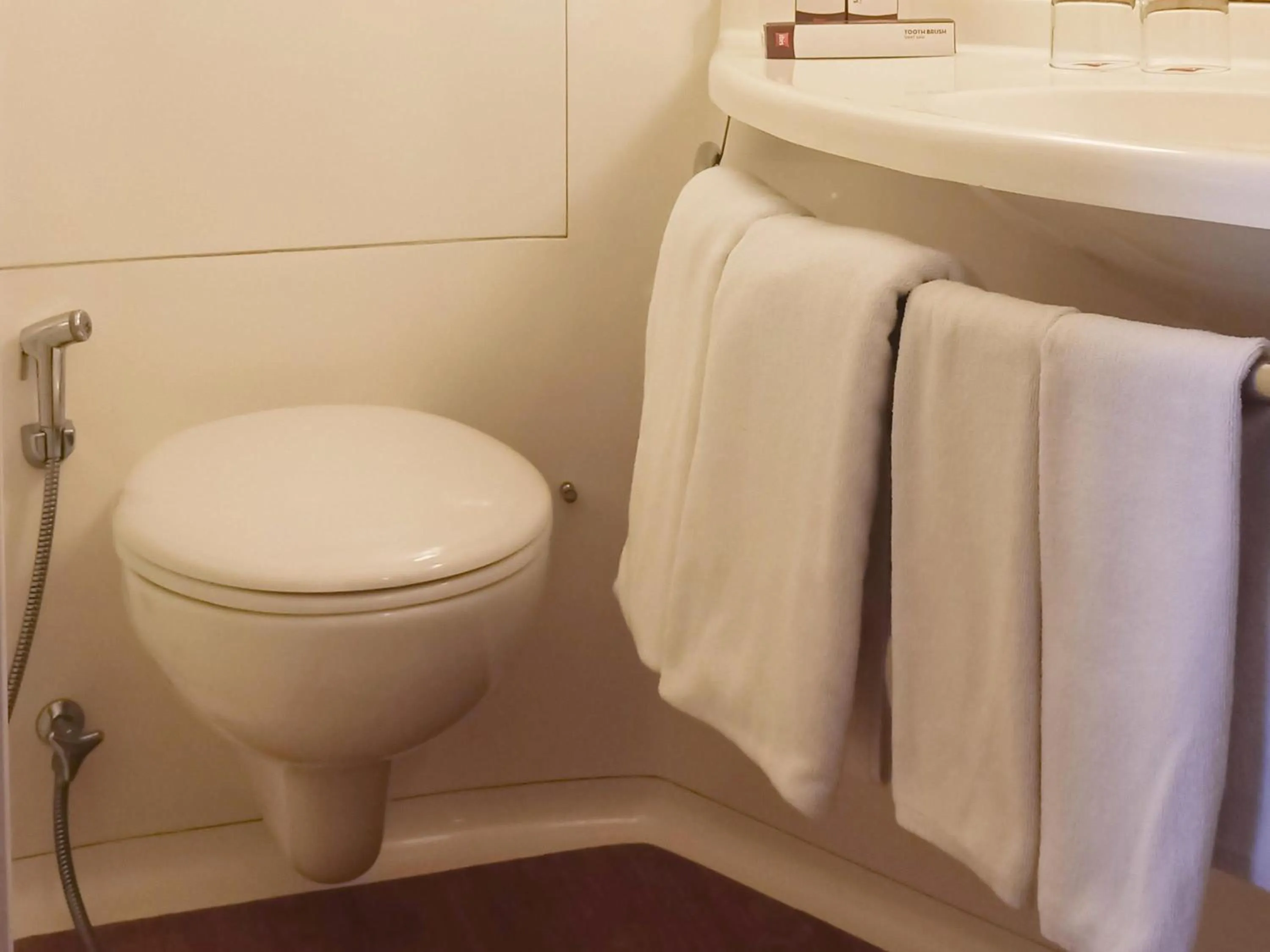 Standard Double Room in Ibis Padang