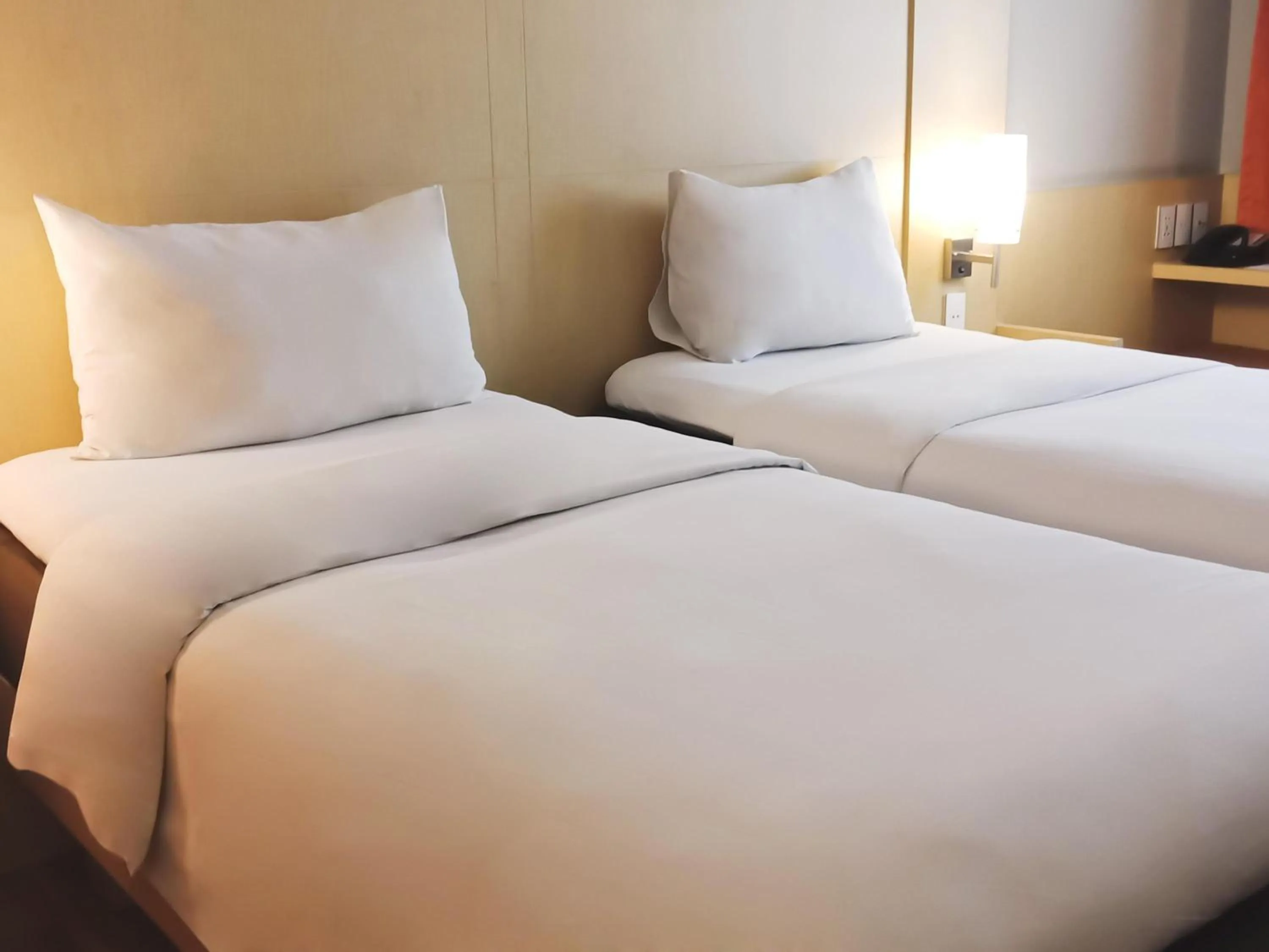 Standard Twin Room with Mountain View in Ibis Padang