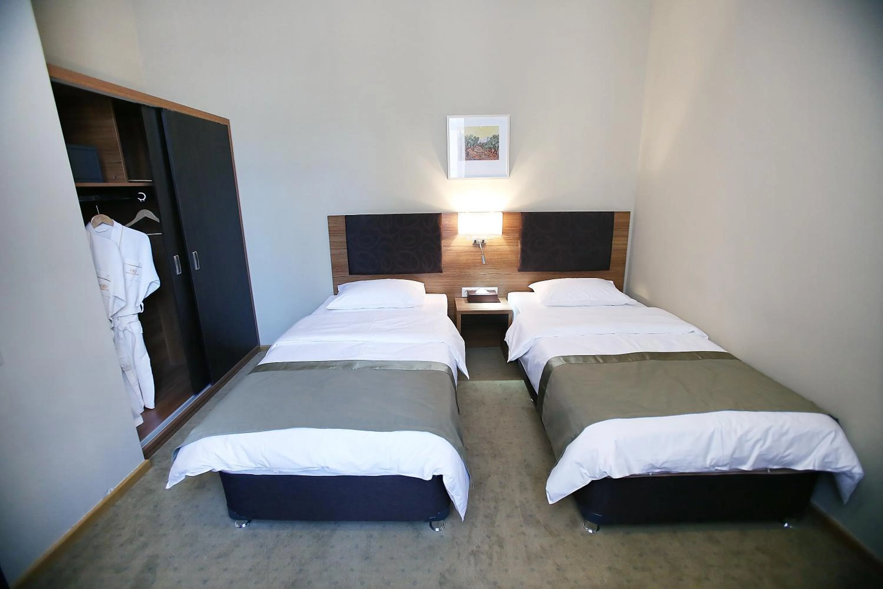 Comfort Twin Room - single occupancy in Tskaltubo Plaza Hotel