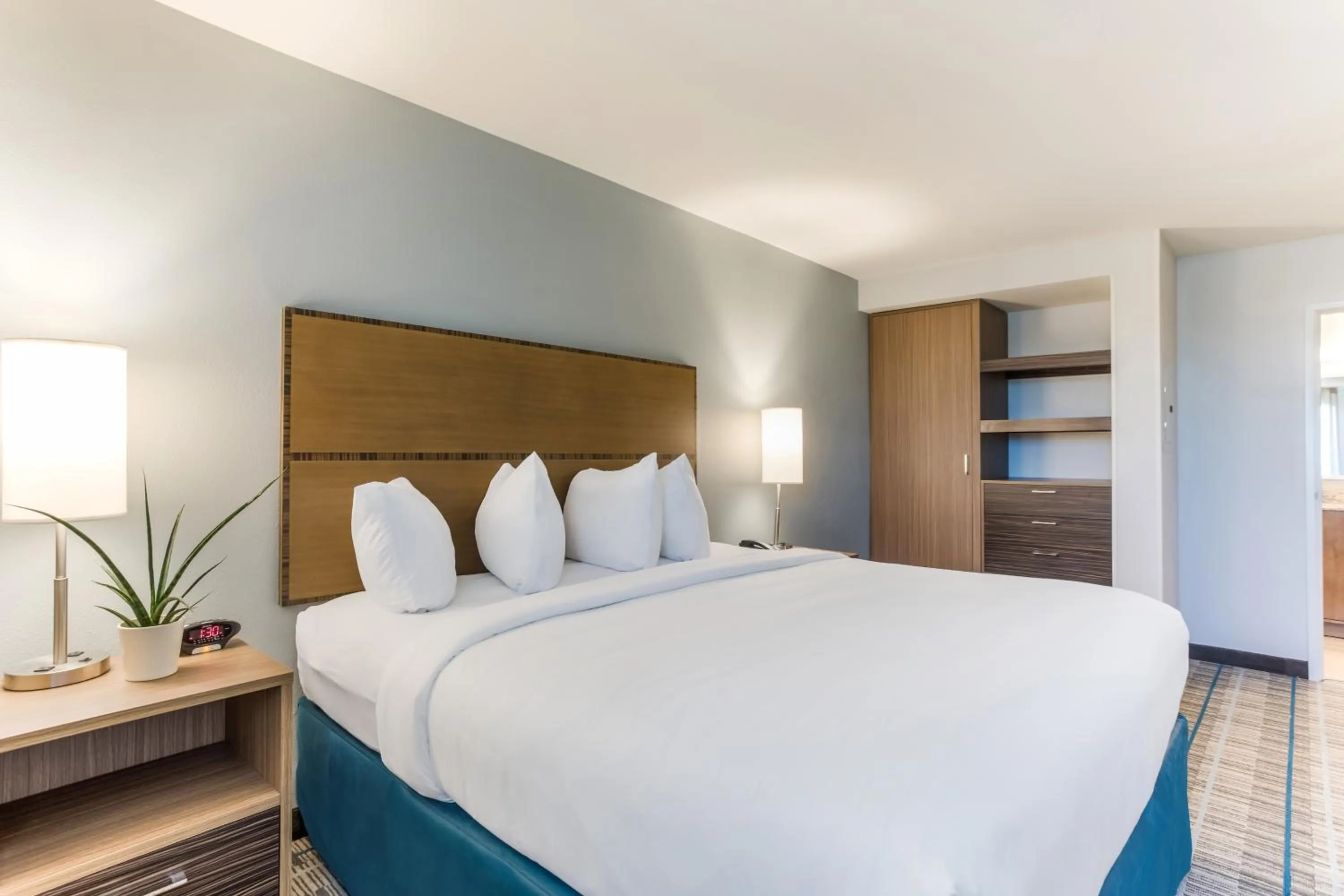 1 Bedroom Suite, 1 King Bed with Sofa bed, Accessible, Non-Smoking in MainStay Suites Murfreesboro