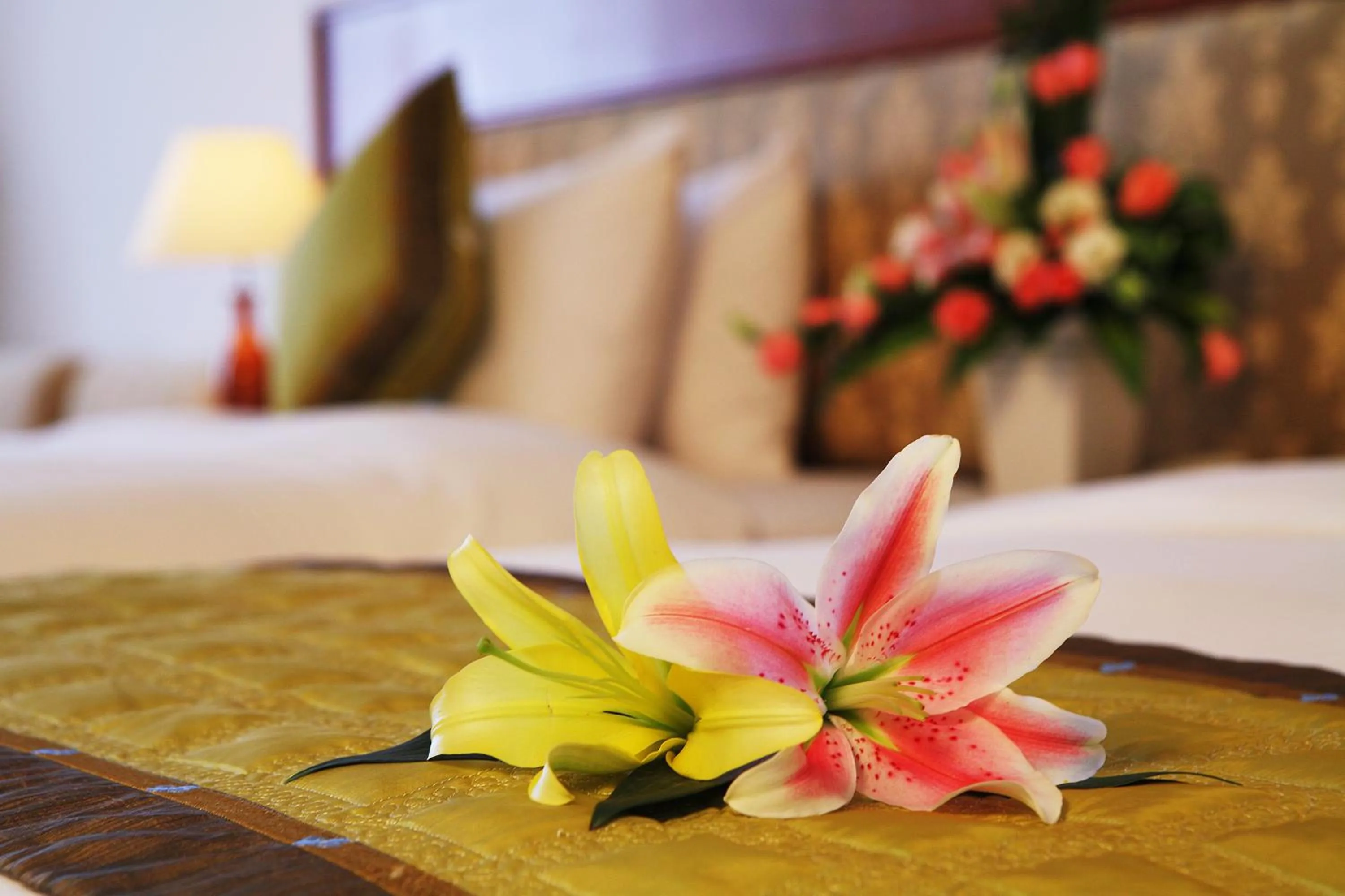 Suite - single occupancy in First Hotel