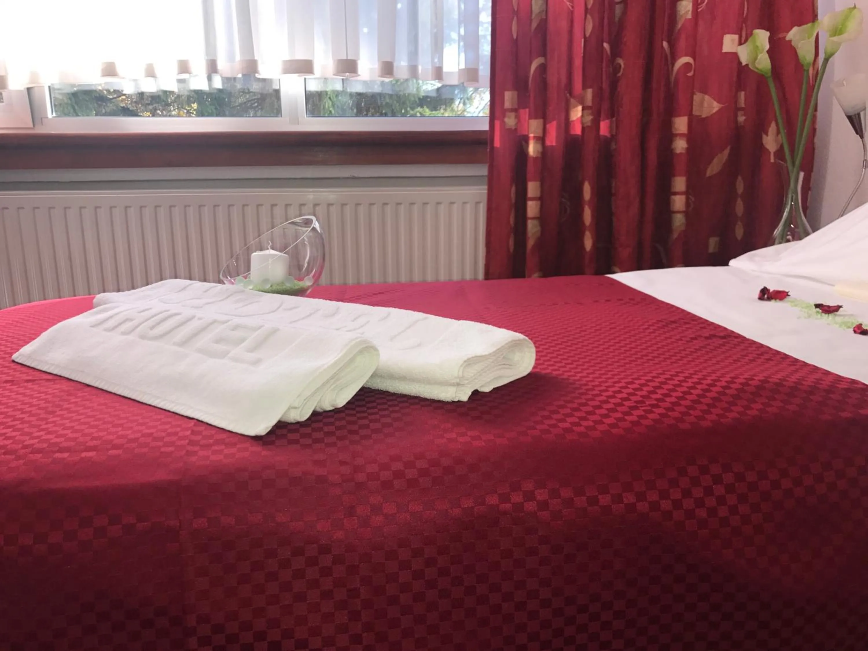 Single Room in Park Hotel