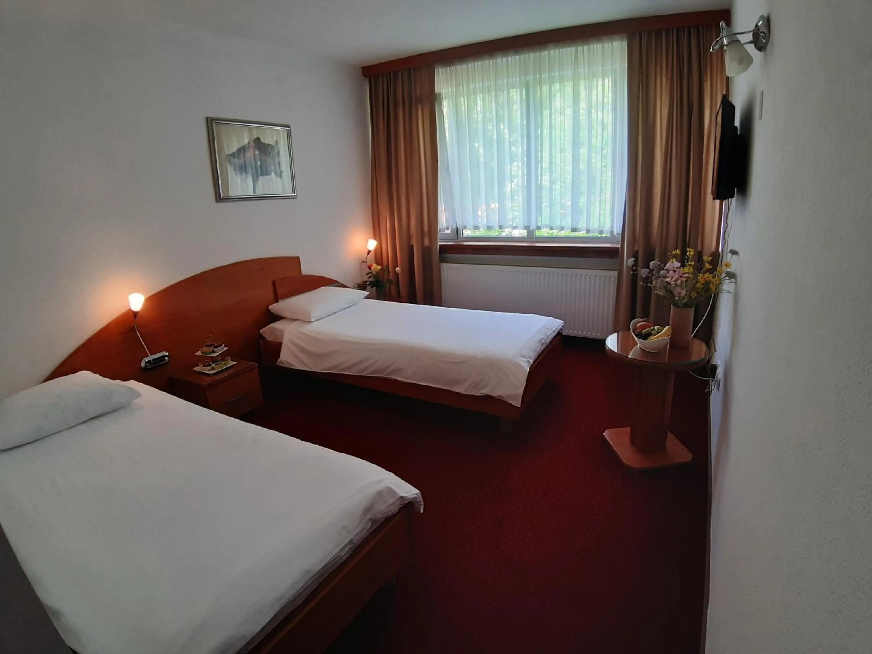 Standard Double or Twin Room with Garden View in Park Hotel