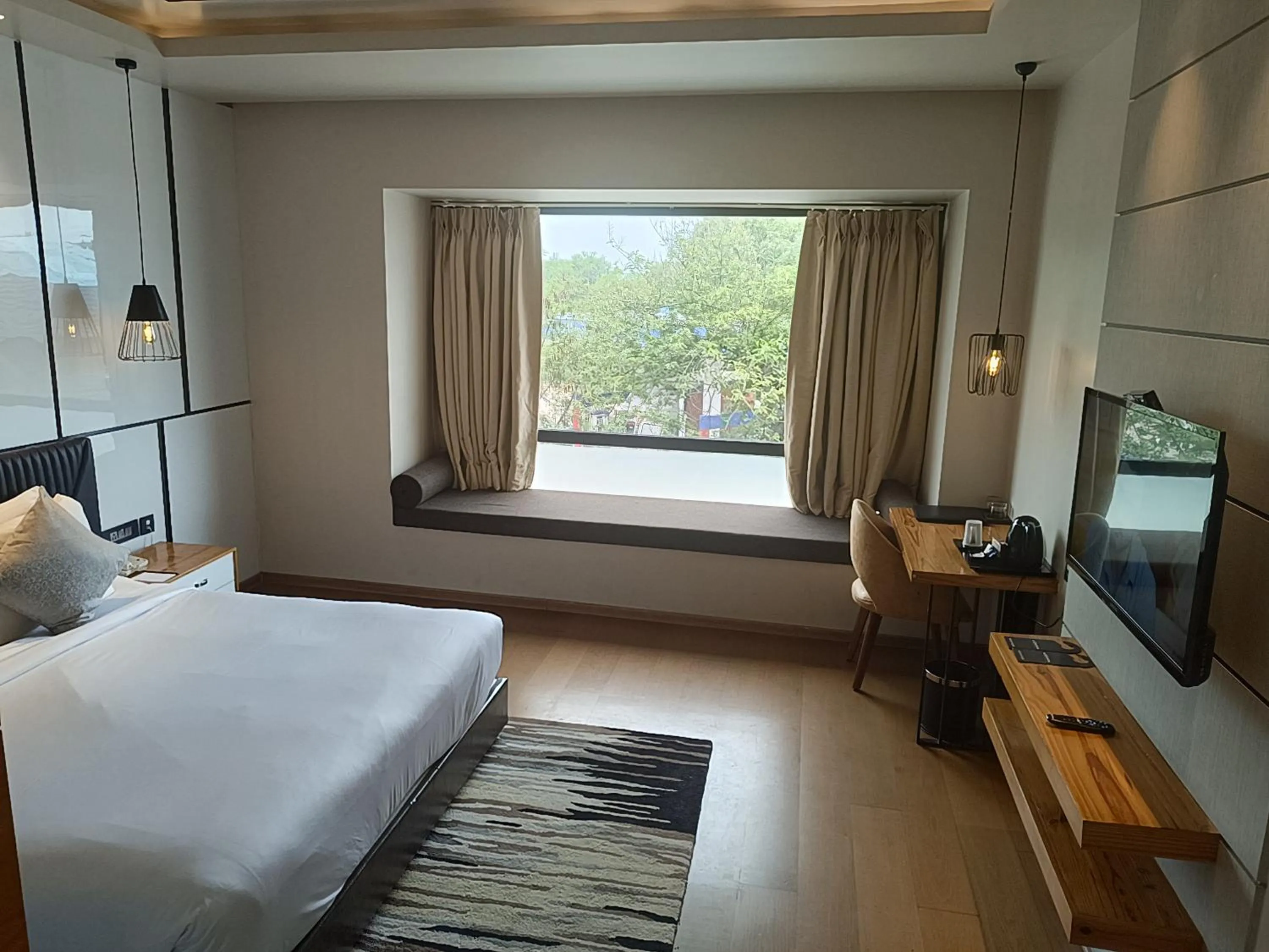 Deluxe Double Room - single occupancy in Udman Hotel Greater Noida