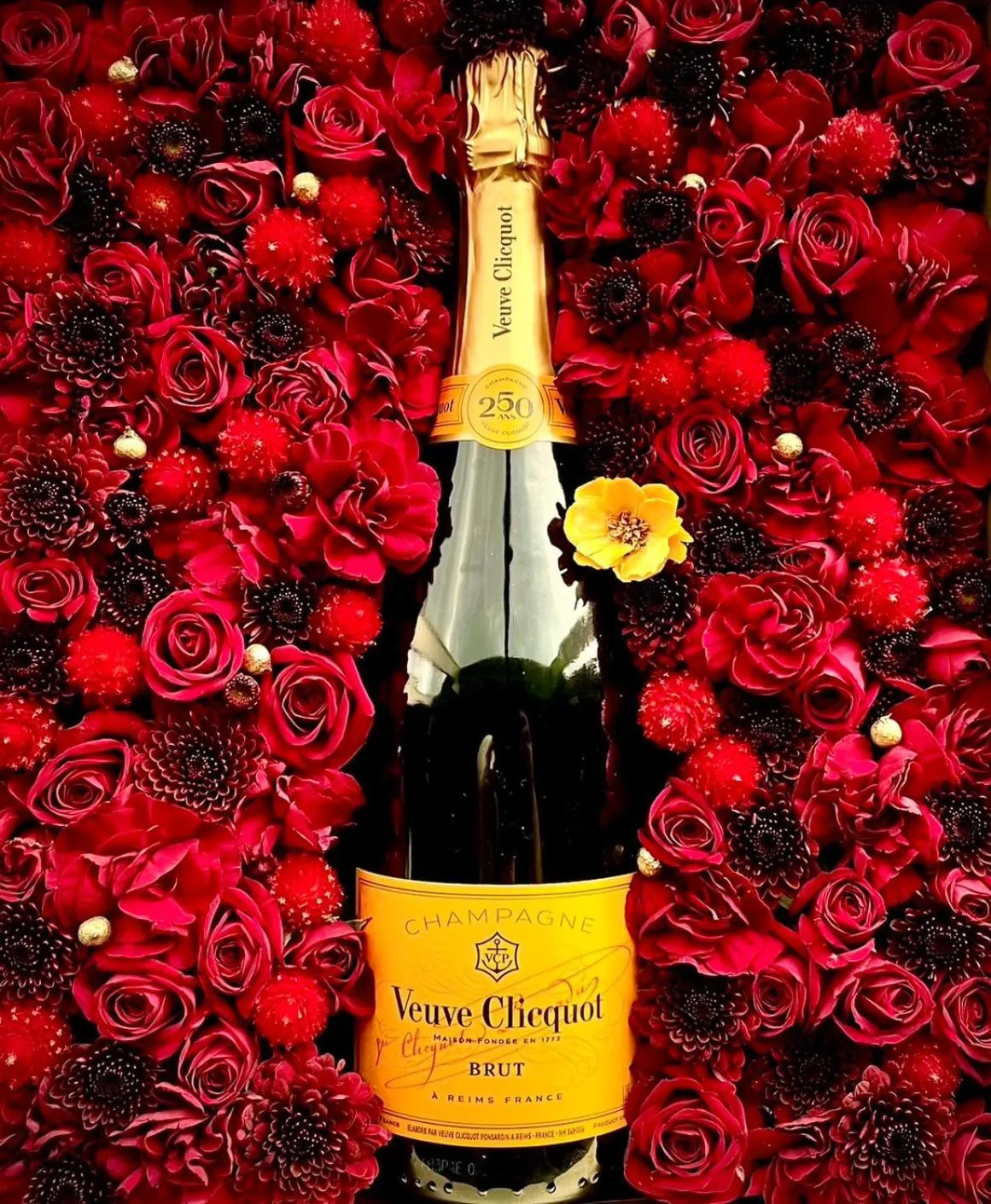 Executive Suite - single occupancy in Hotel Japanesque Fukuoka