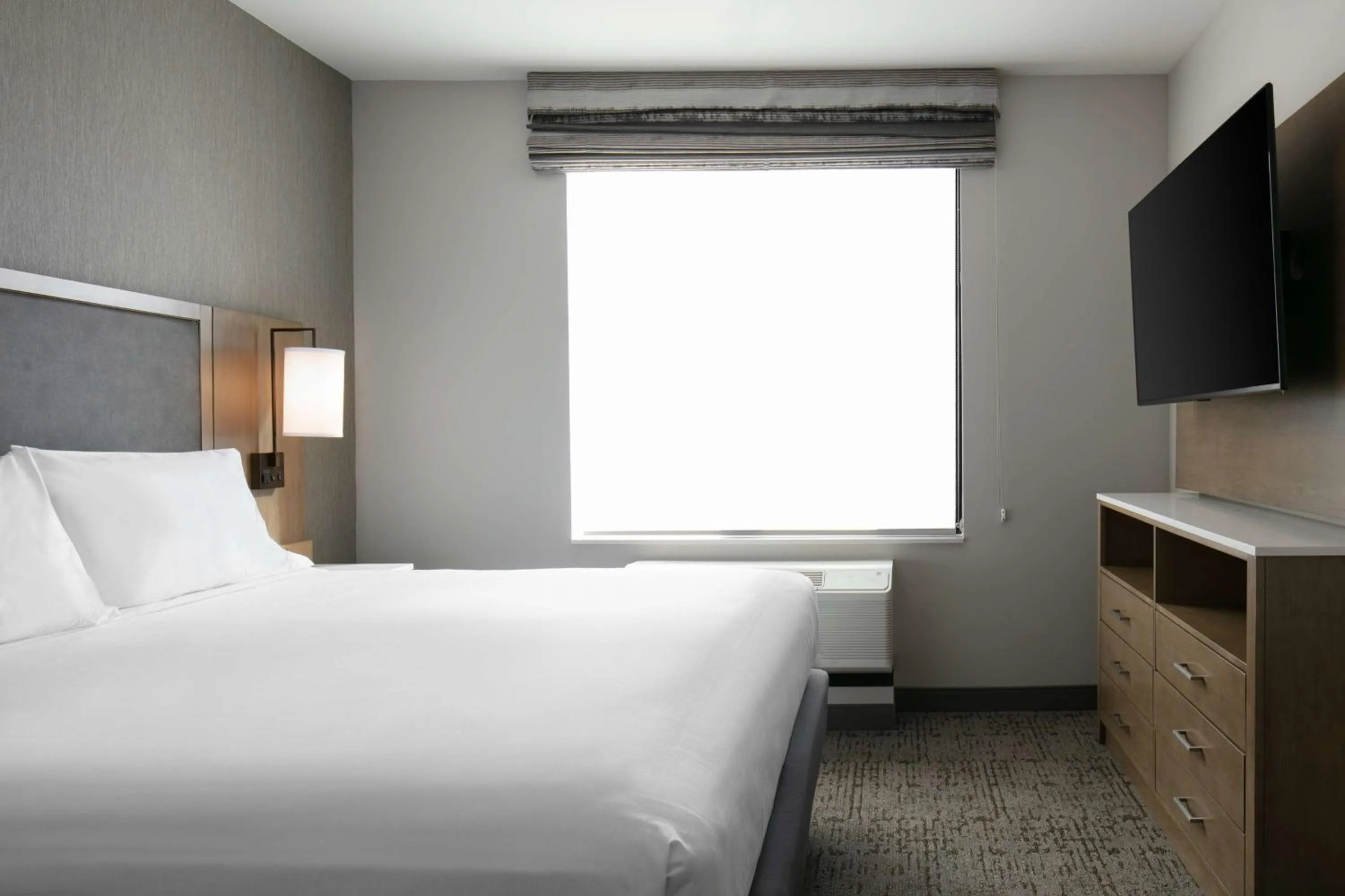 One-Bedroom King Suite with View - Non-Smoking in Homewood Suites By Hilton Dillon