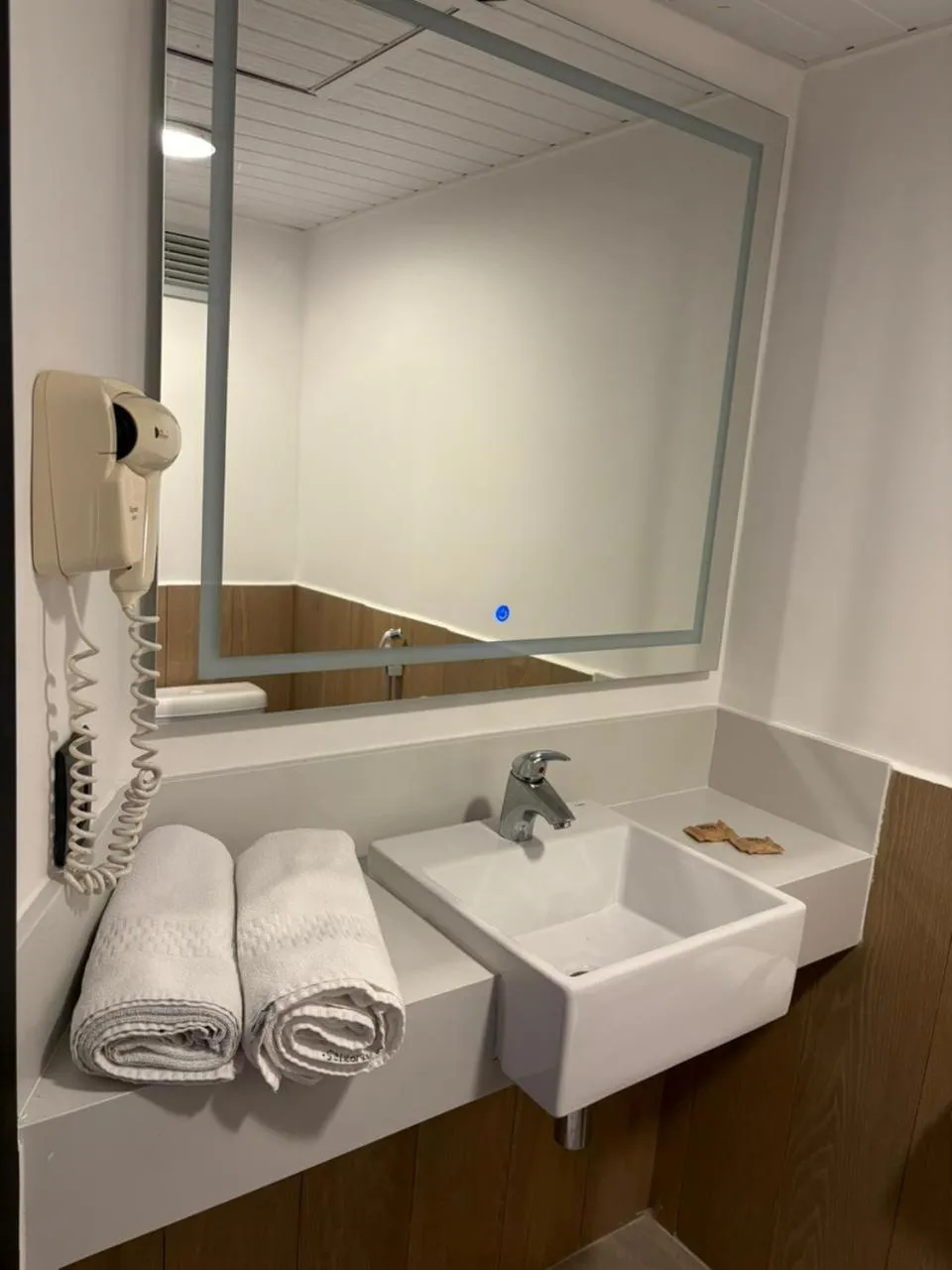 Standard Twin Room - single occupancy in Ibis Joao Pessoa Praia