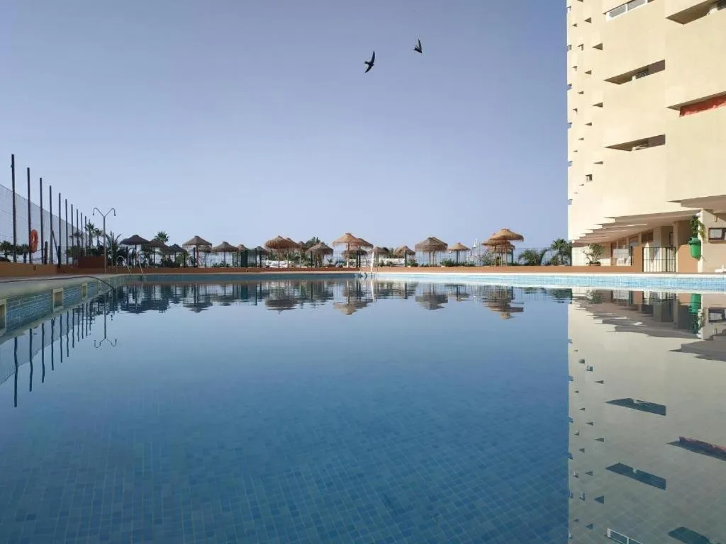 Apal Chinasol Estudios