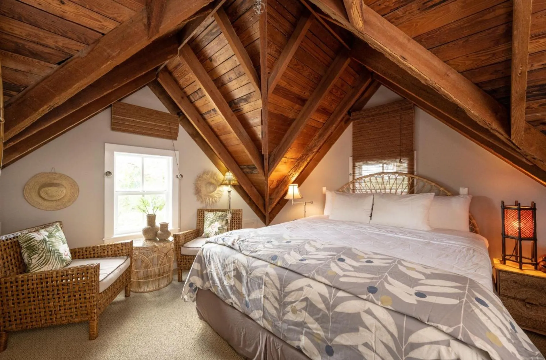 Treetop in The Mermaid & The Alligator