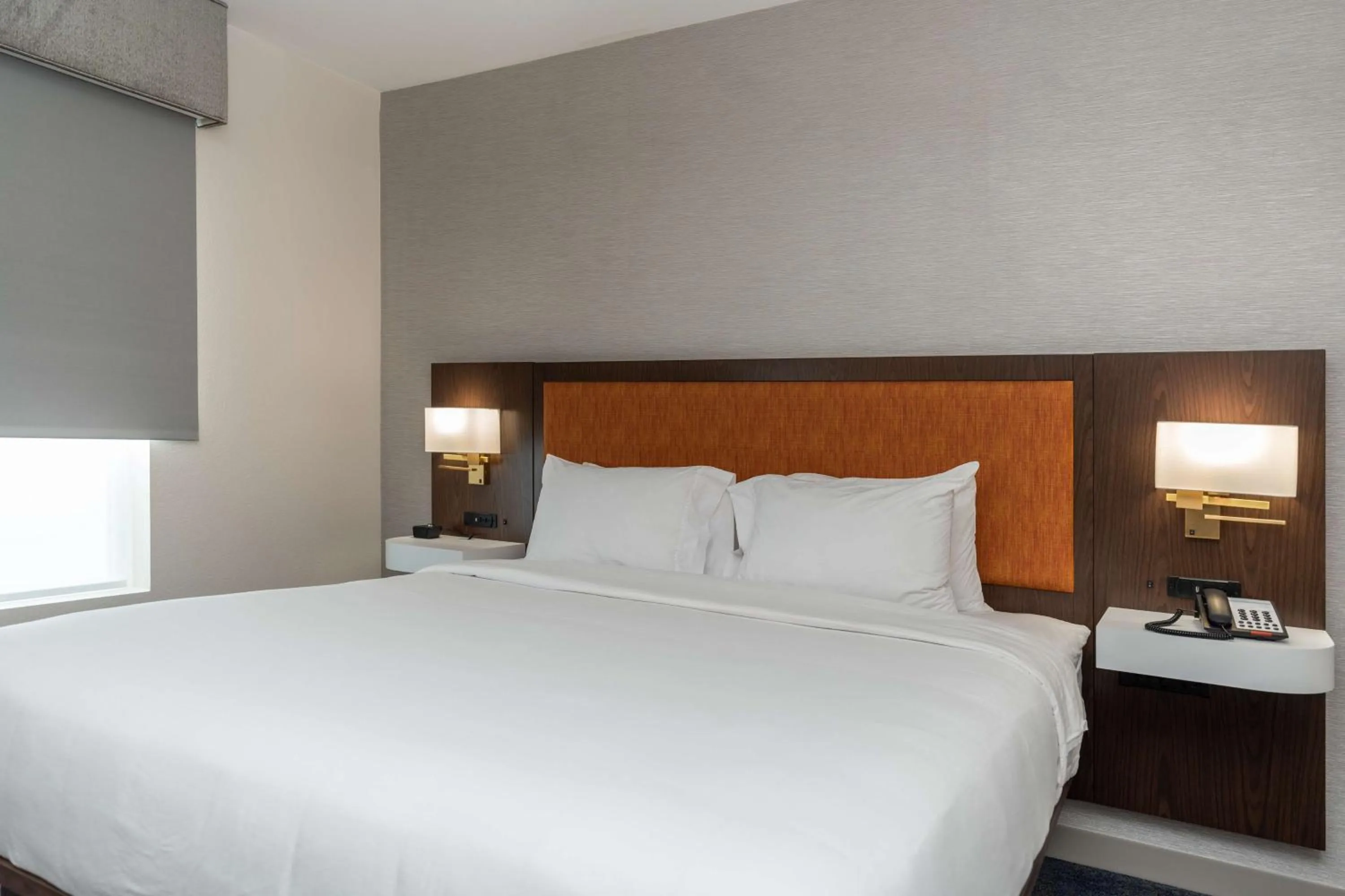 King Room in Hampton Inn & Suites Houston Sugar Land, Tx
