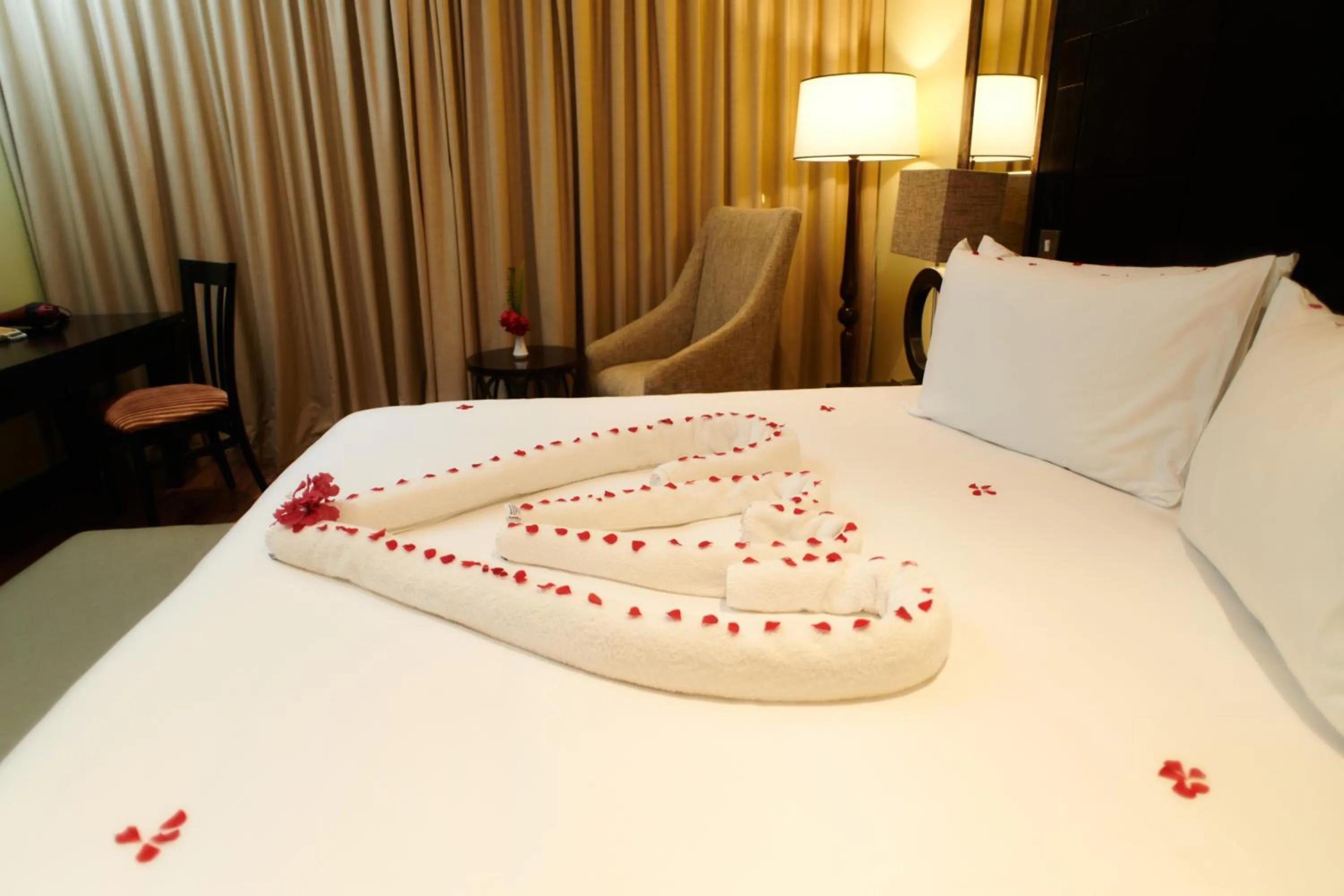 Executive Suite - single occupancy in Mount Meru Hotel