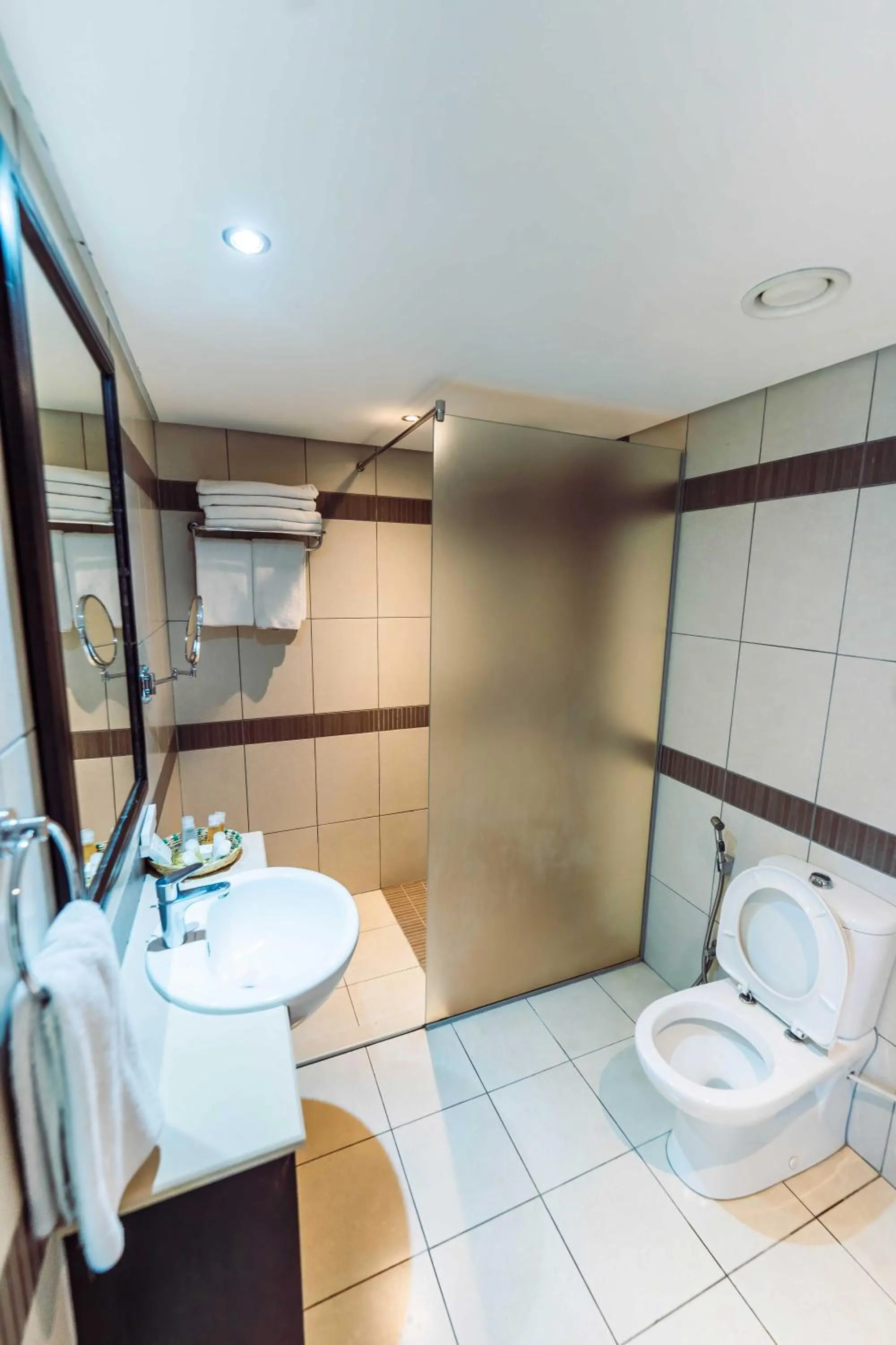 Standard Double or Twin Room - single occupancy in Mount Meru Hotel