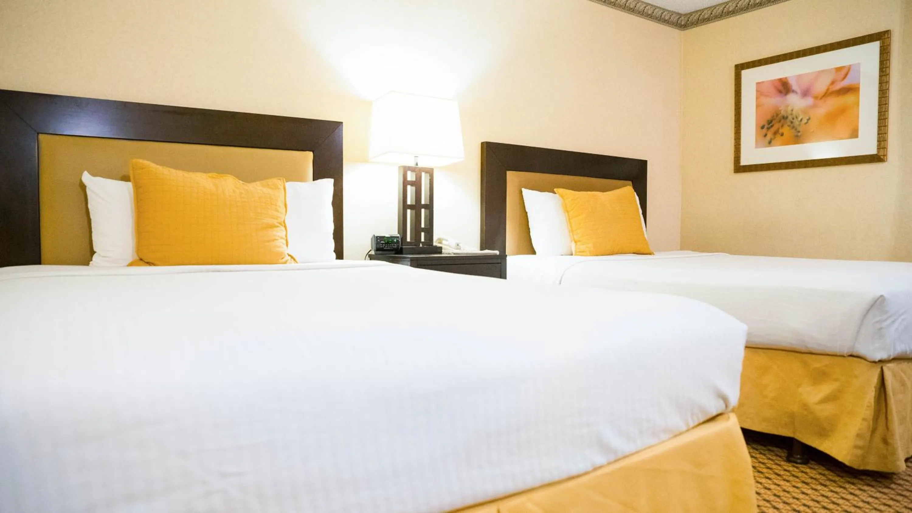 Two-Bedroom Suite - Non-Smoking in Studio 6 Anaheim Hills CA