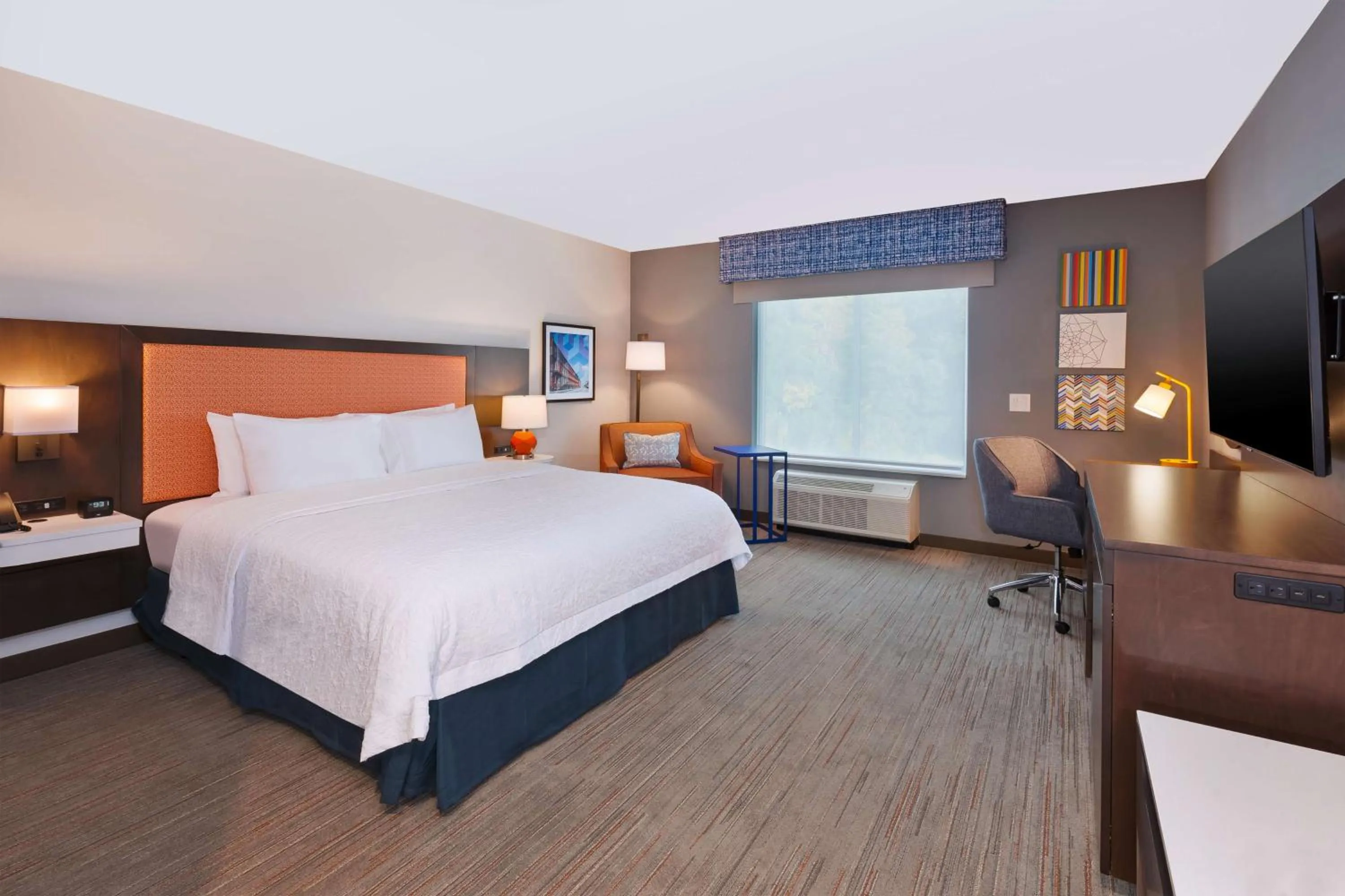 King Room in Hampton Inn Danville, Va